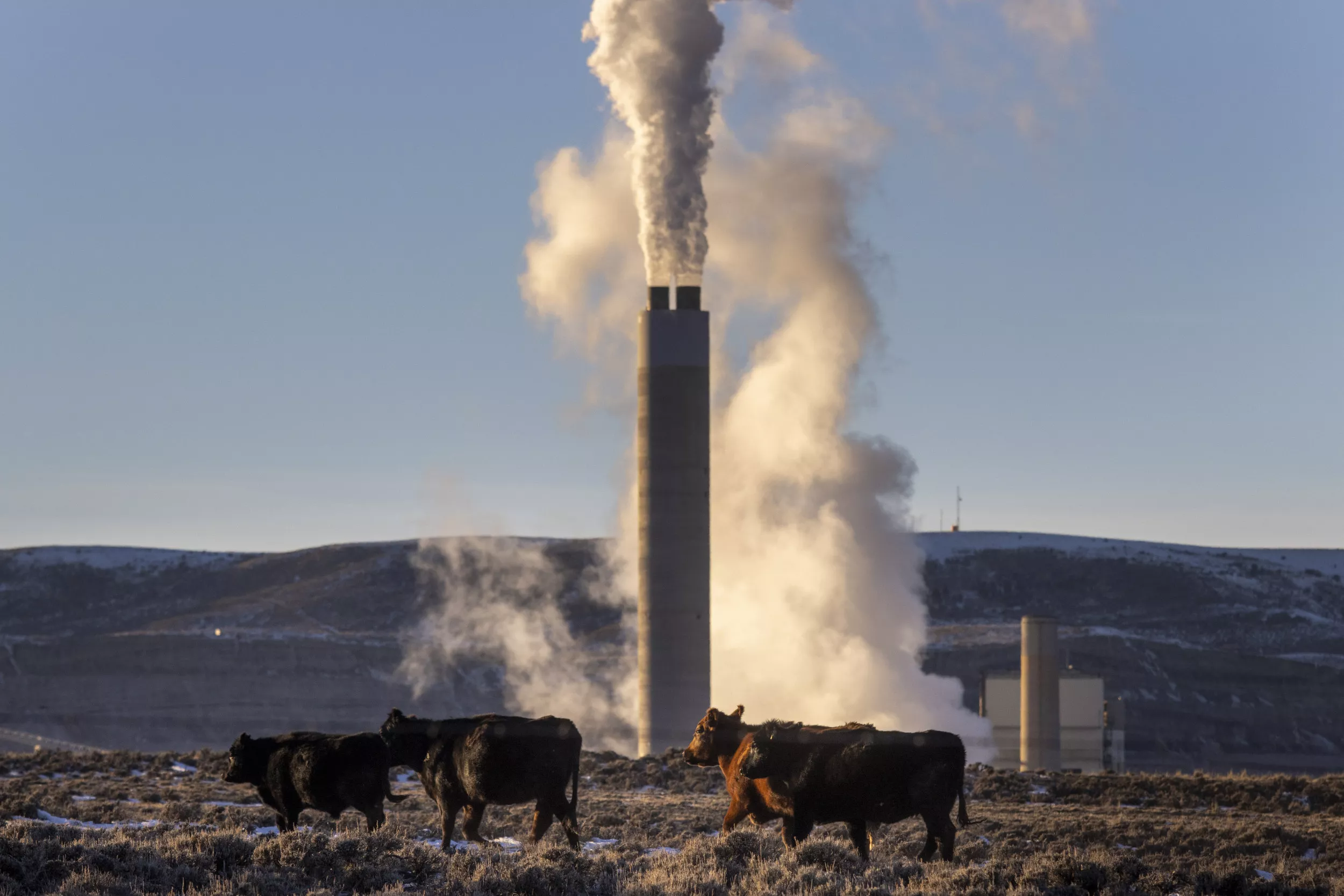 Republican Turns Against Governor After 'Embarrassing' Climate Speech - Vimarsana News