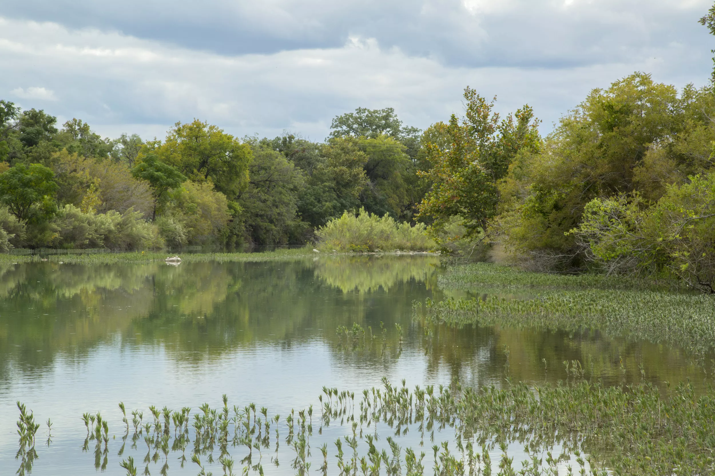 Texas River Floods After Massive Water Level Increase Overnight - Vimarsana News