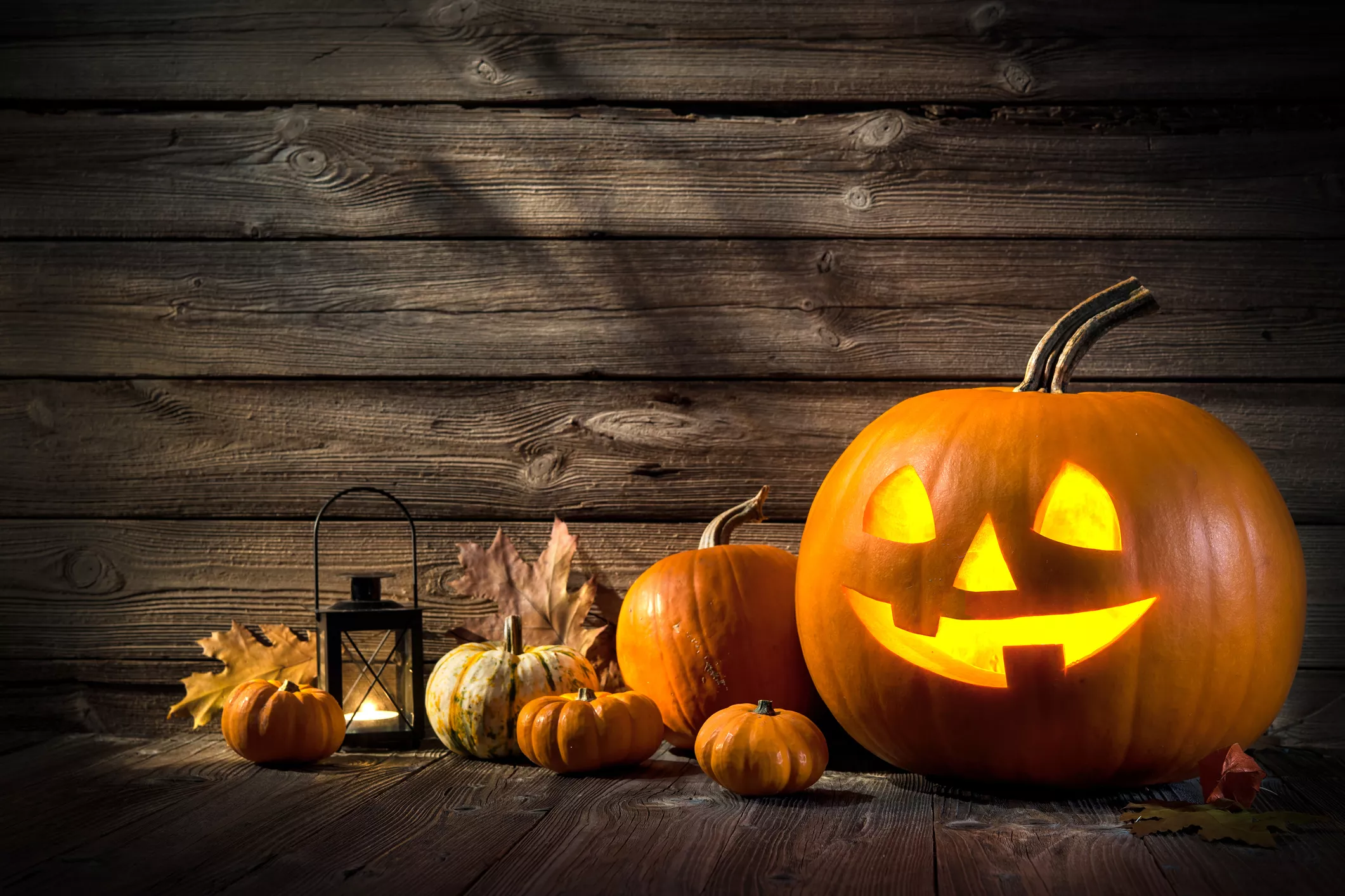 Halloween Deals Roundup - Vimarsana News