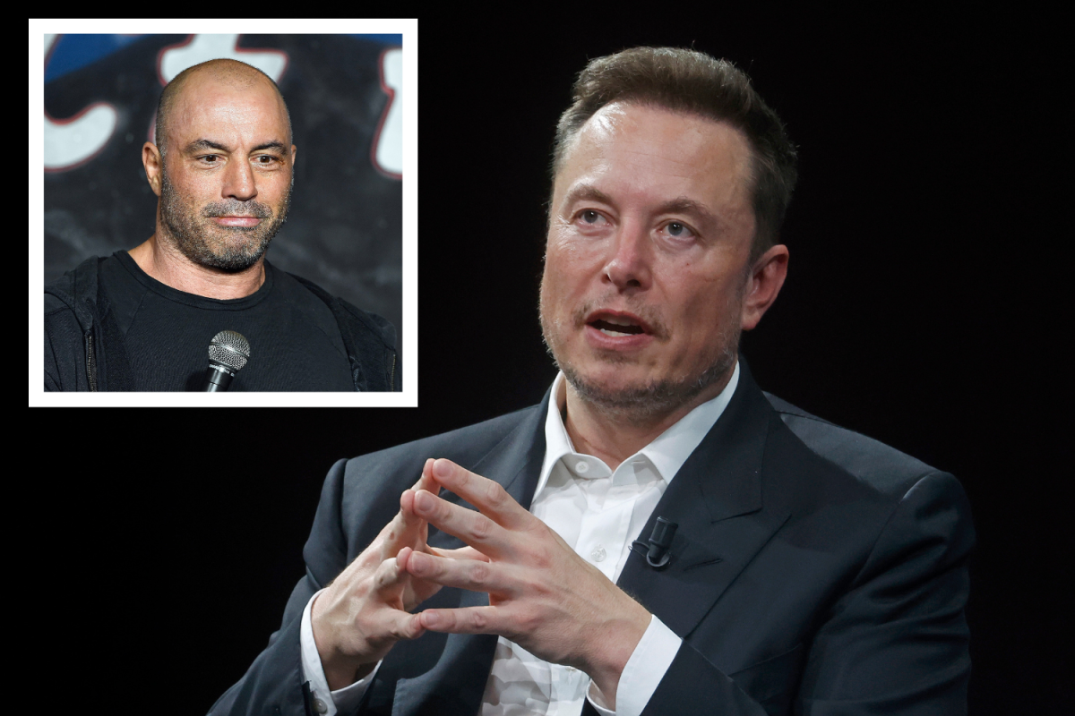 Shared image Elon Musk and Joe Rogan