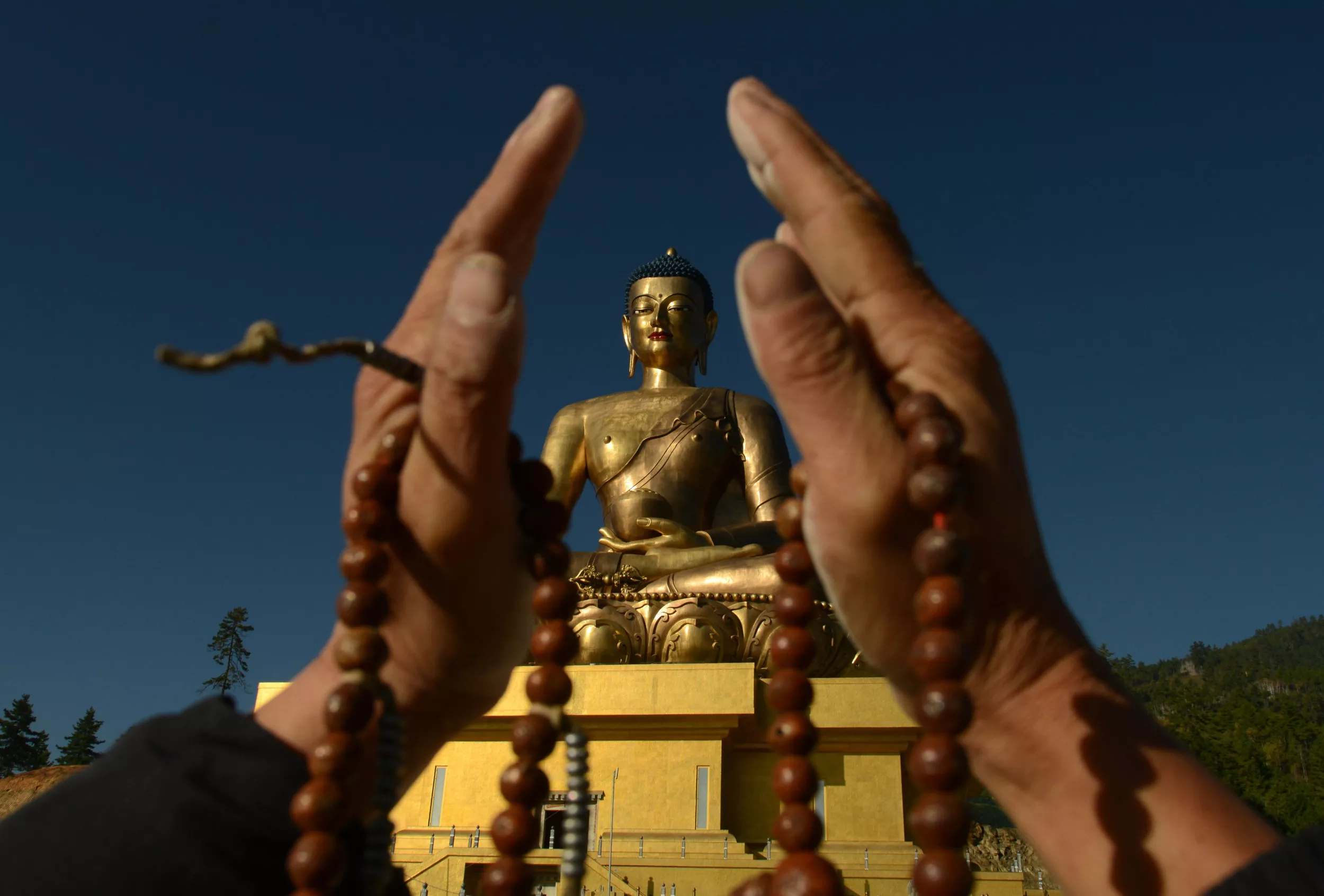 Why India Is Worried About the China-Bhutan Border - Vimarsana News