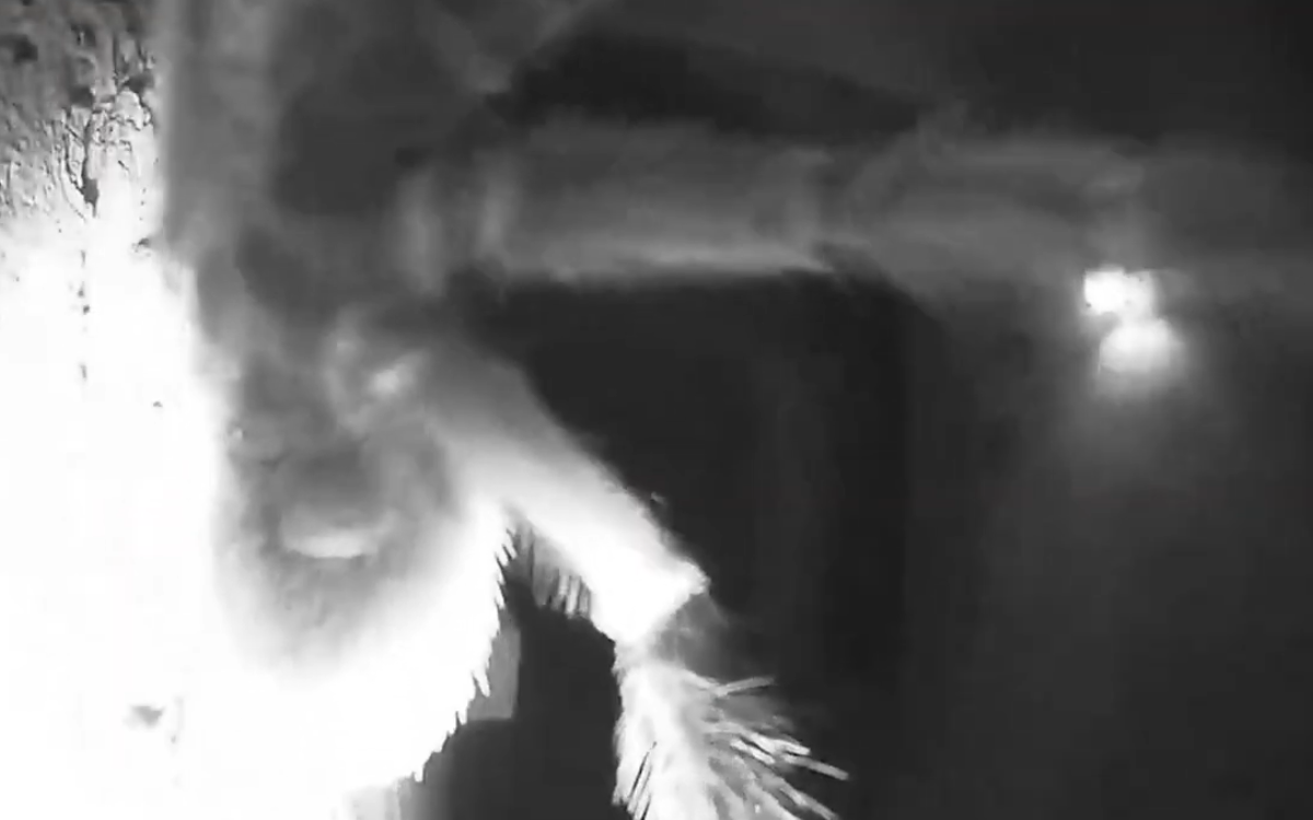 Woman Gets Doorbell Notification, Not Prepared for What She Sees Outside