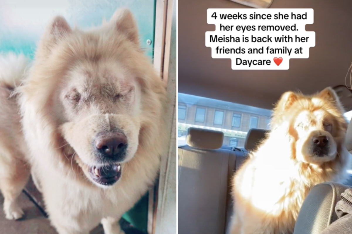 Misha bitch