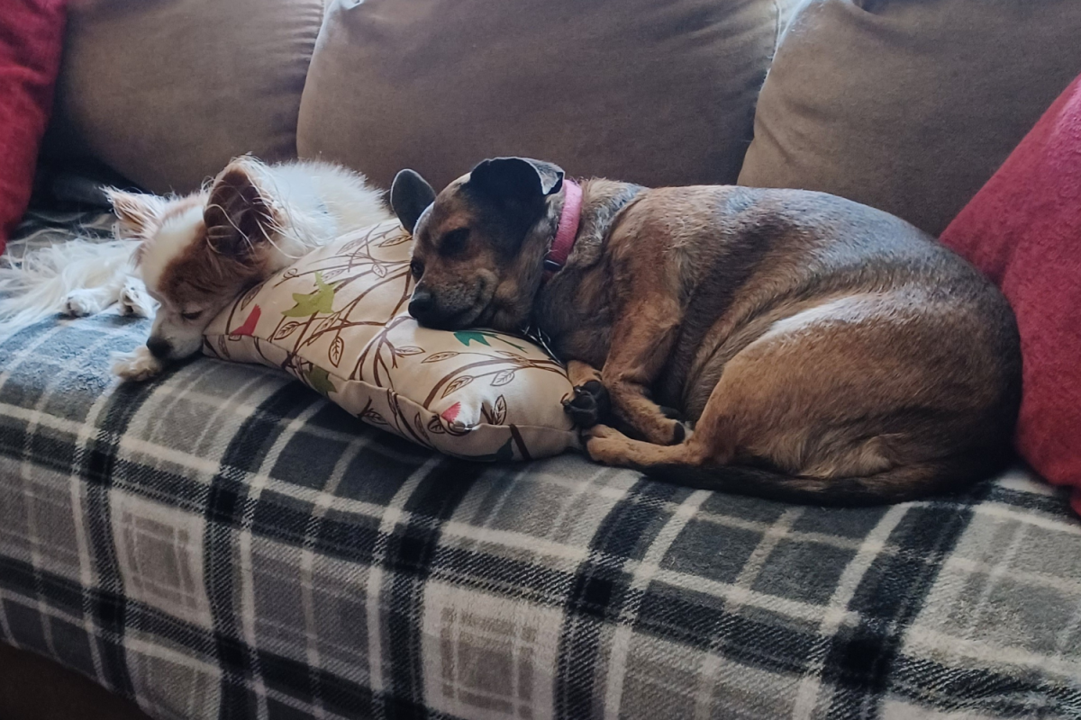 Roscoe and Lucy