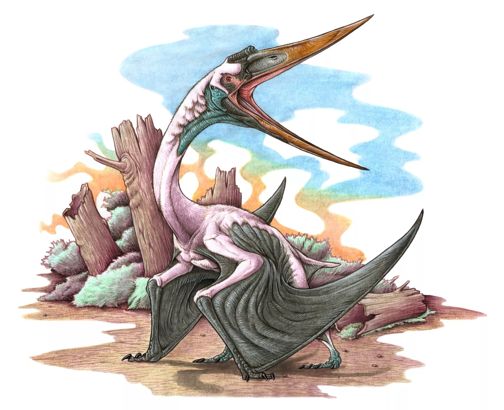 Large Flying Reptile That Ruled the Sky 100 Million Years Ago Found by Lake - Vimarsana News
