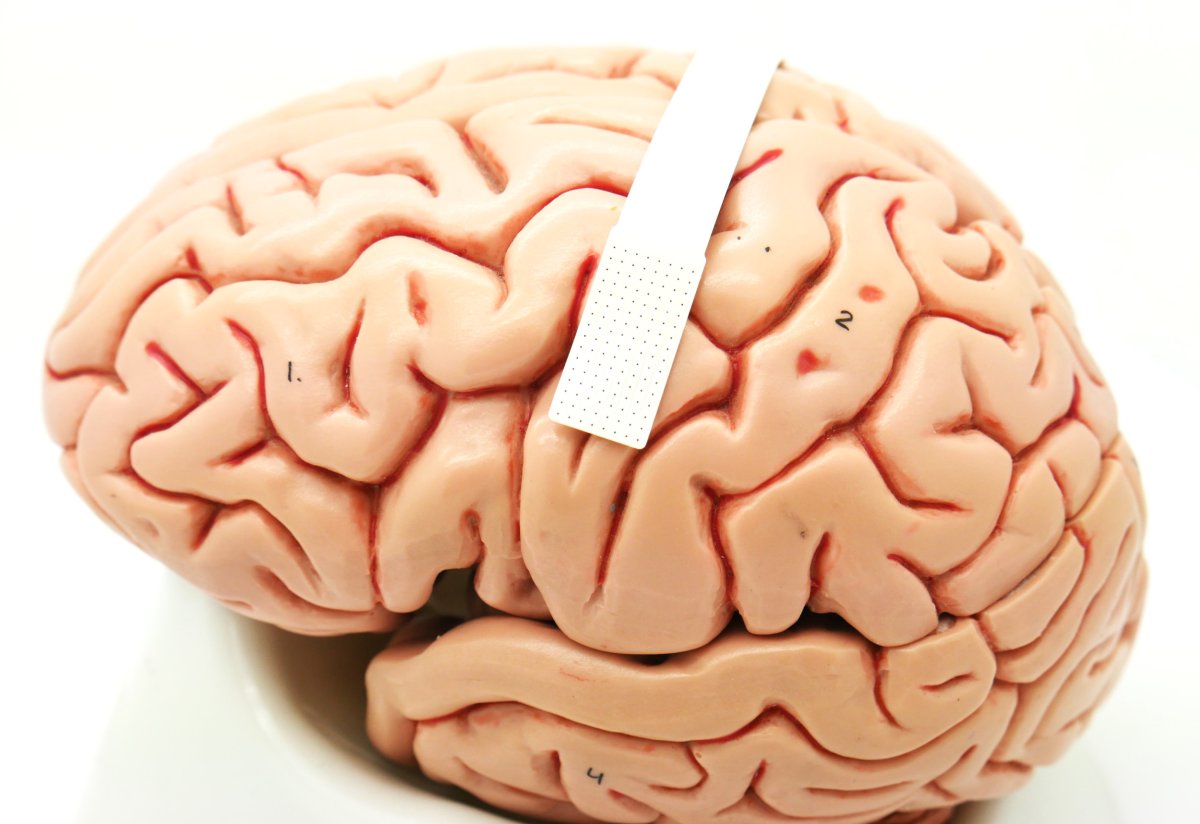 Brain decoding