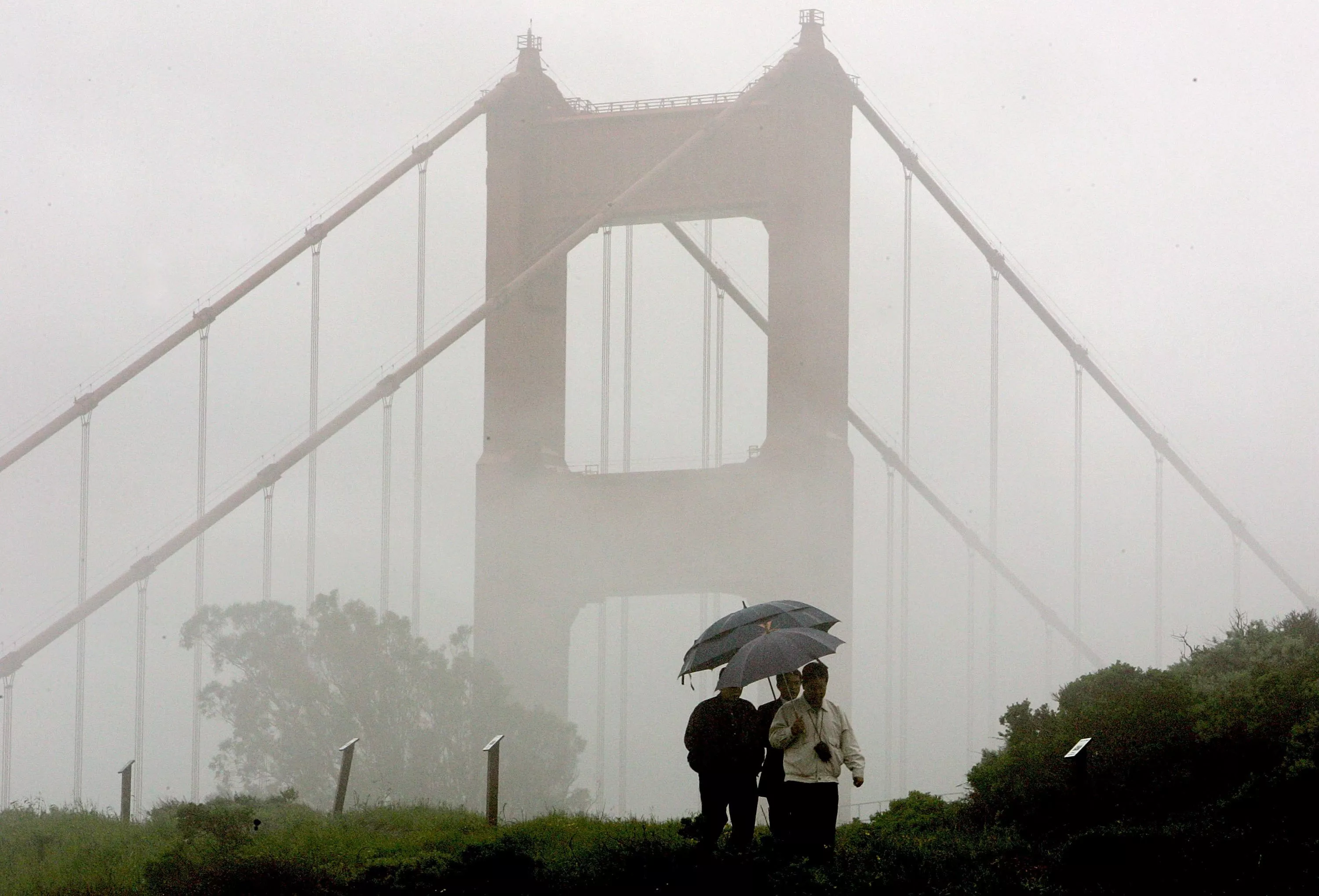 California Hit With Third Storm in One Week: 'Impressive' Downpour - Vimarsana News