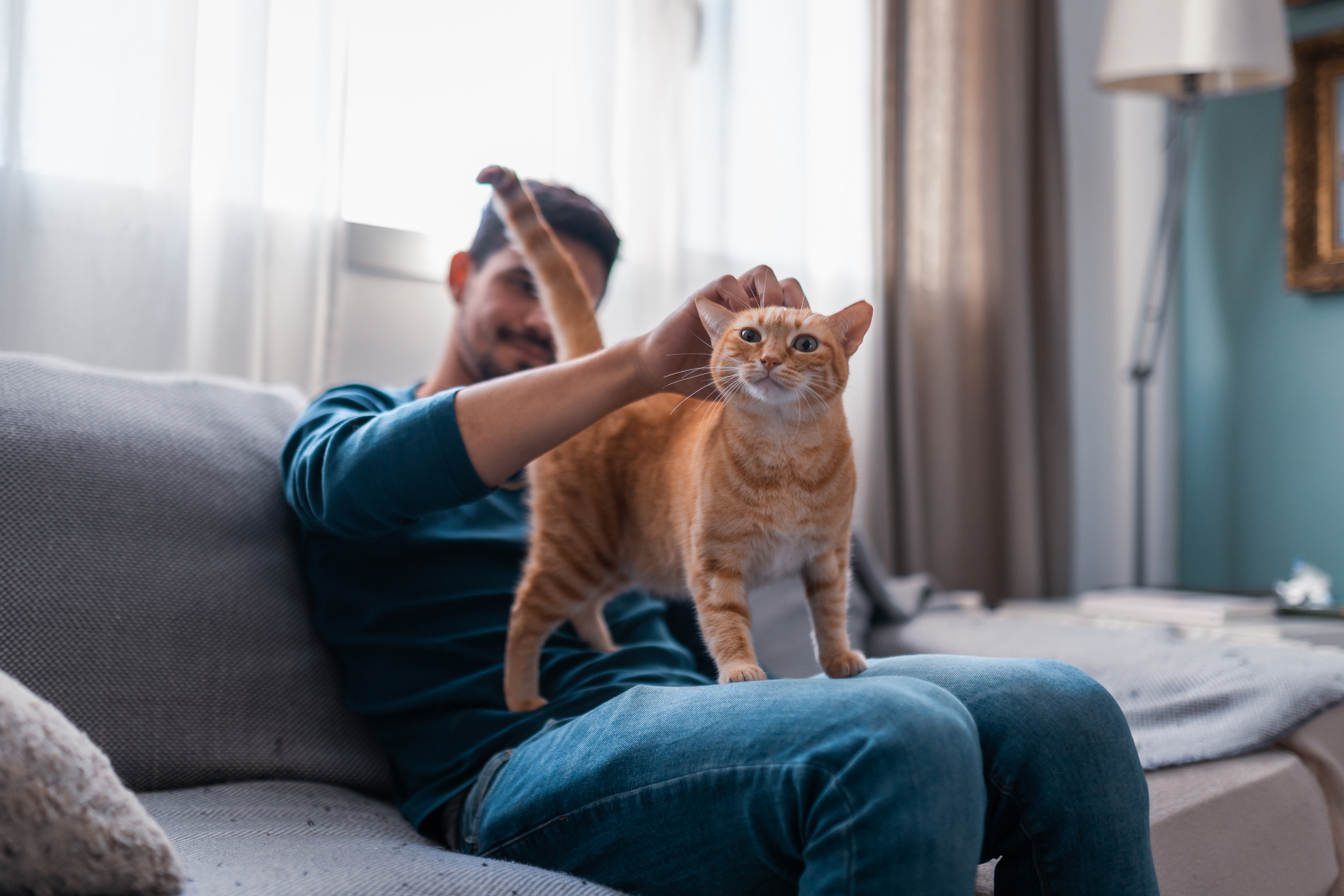 Kurve Raised Pet Bowl - Fur Cat's Sake