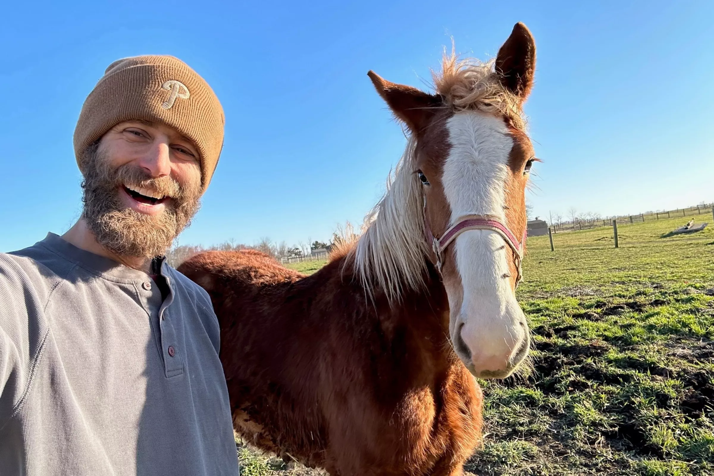 Watch Traumatized Horse Sent to Slaughter Slowly Fall in Love With Rescuer - Vimarsana News