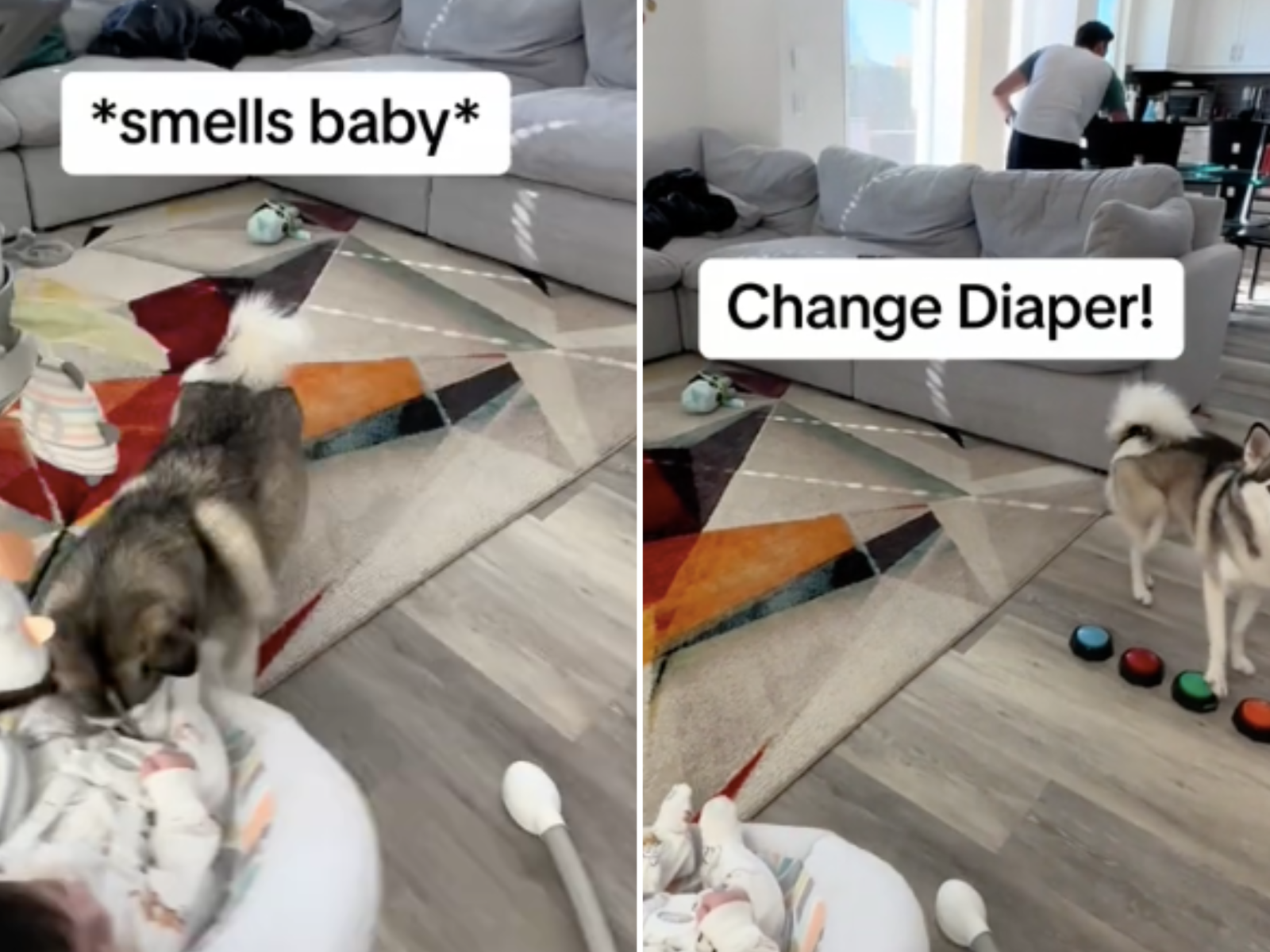 Dog ate baby sales diaper