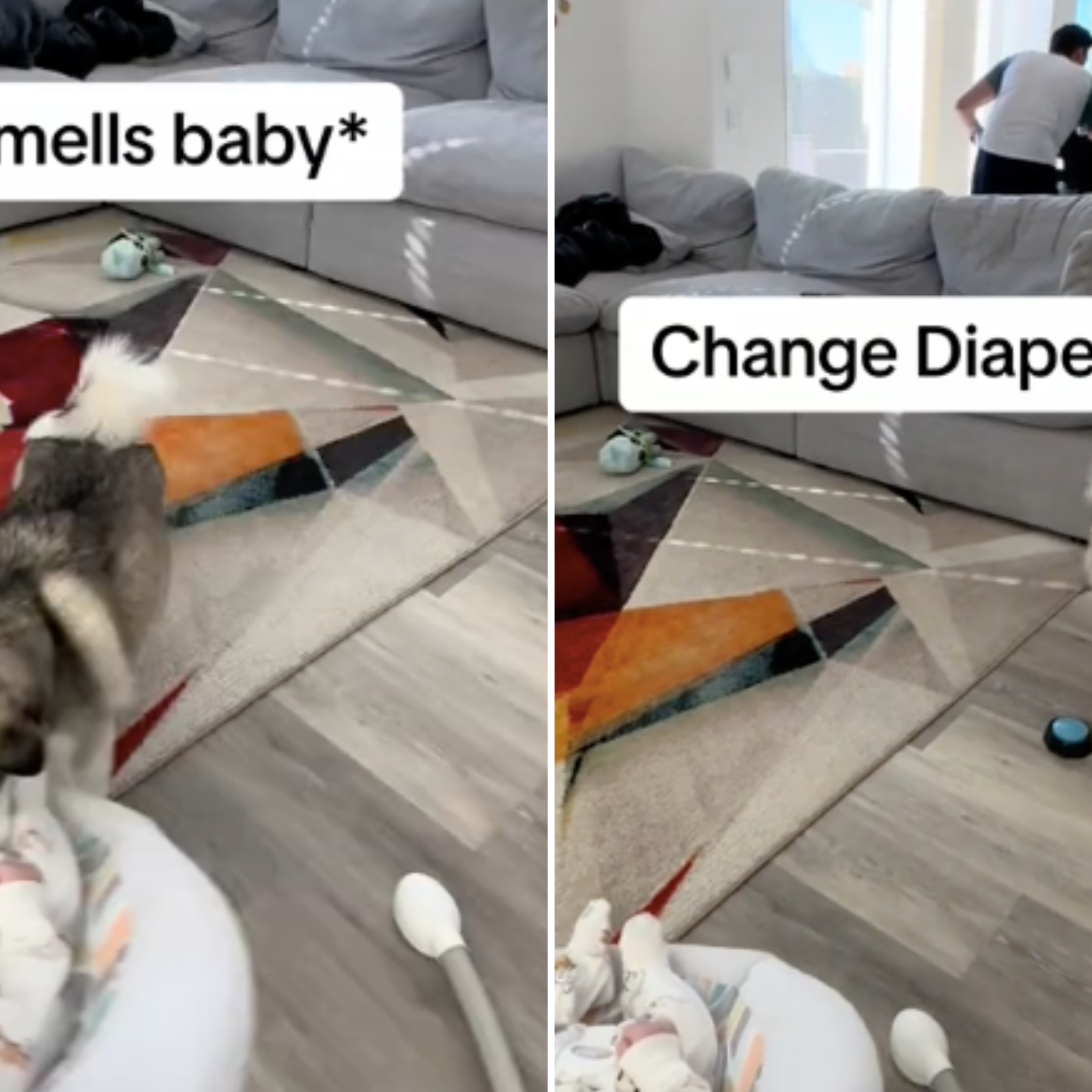 Dog Tells Owners With Words When It s Time To Change Baby s Diaper Newsweek