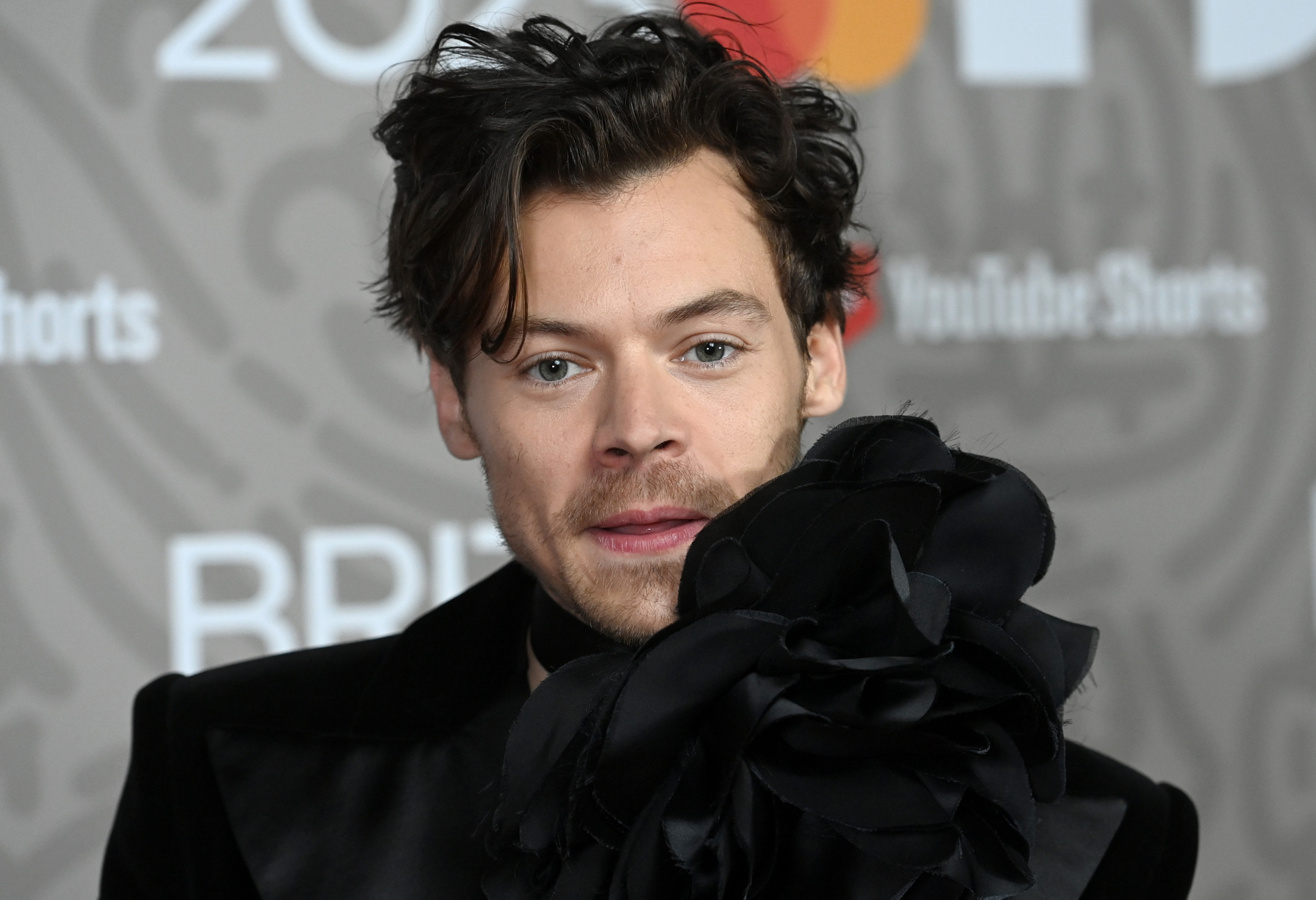 Harry Styles Okgo