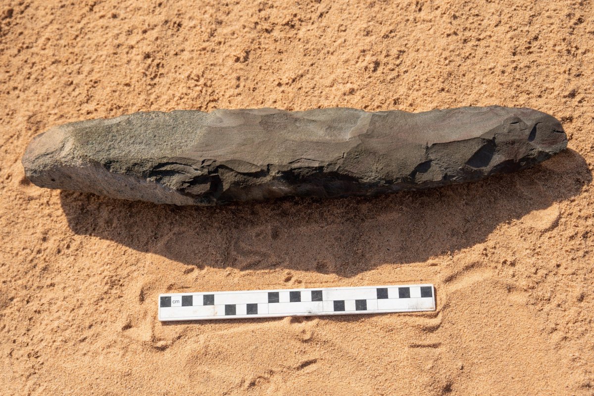 A prehistoric stone hand axe