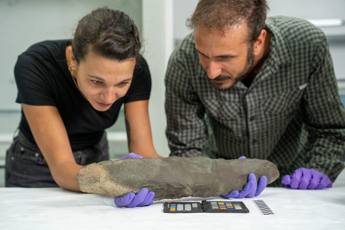 Researchers examining a stone hand axe