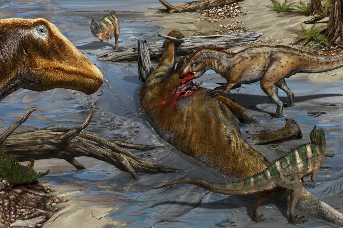 A theropod dinosaur feeding on a sauropod