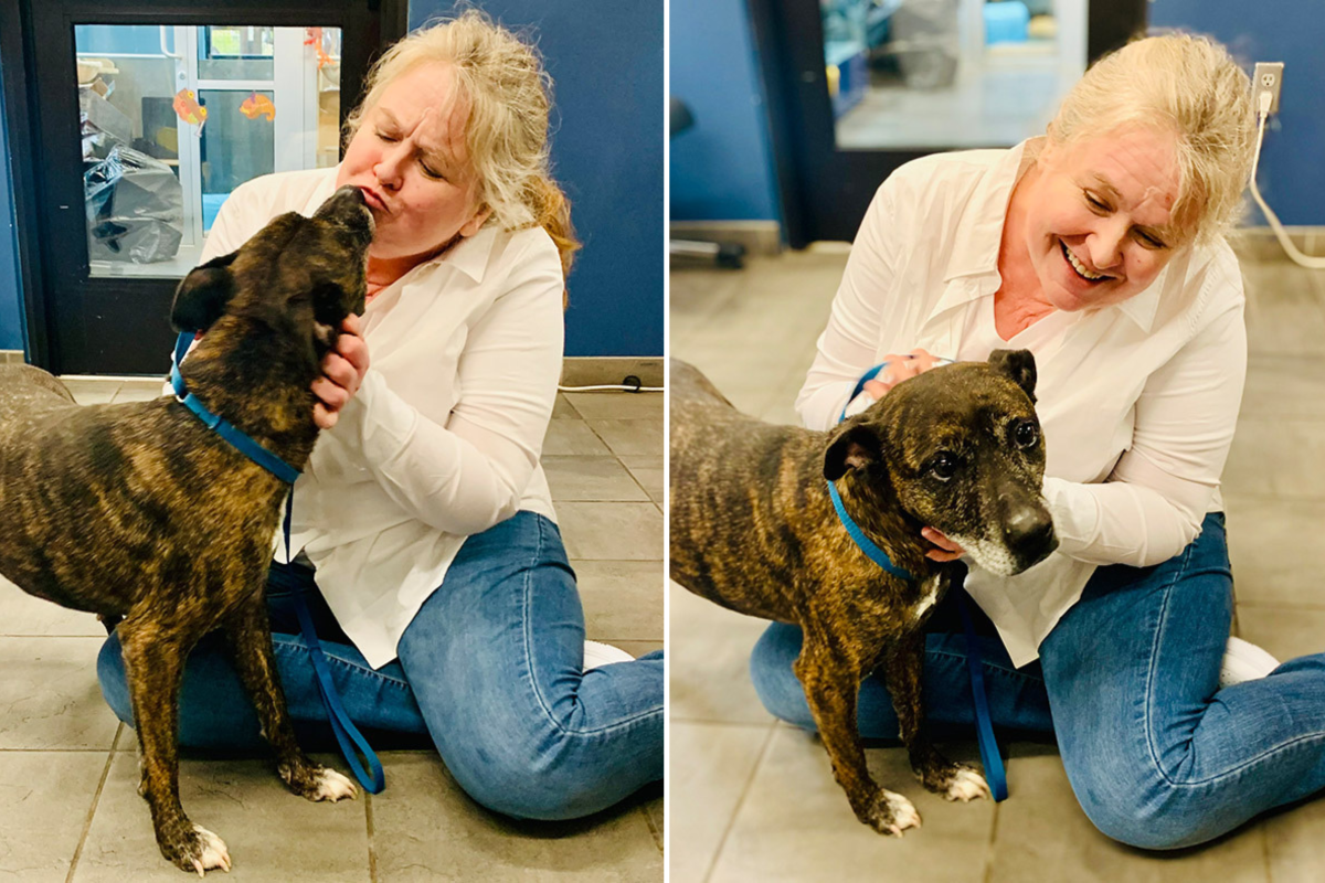 home visit pet euthanasia Star and new owner