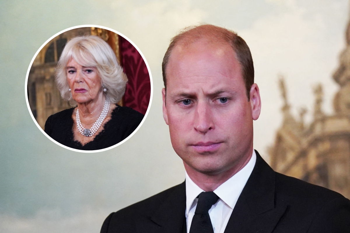 Prince William Moment With Queen Camilla Caught on Camera - Newsweek