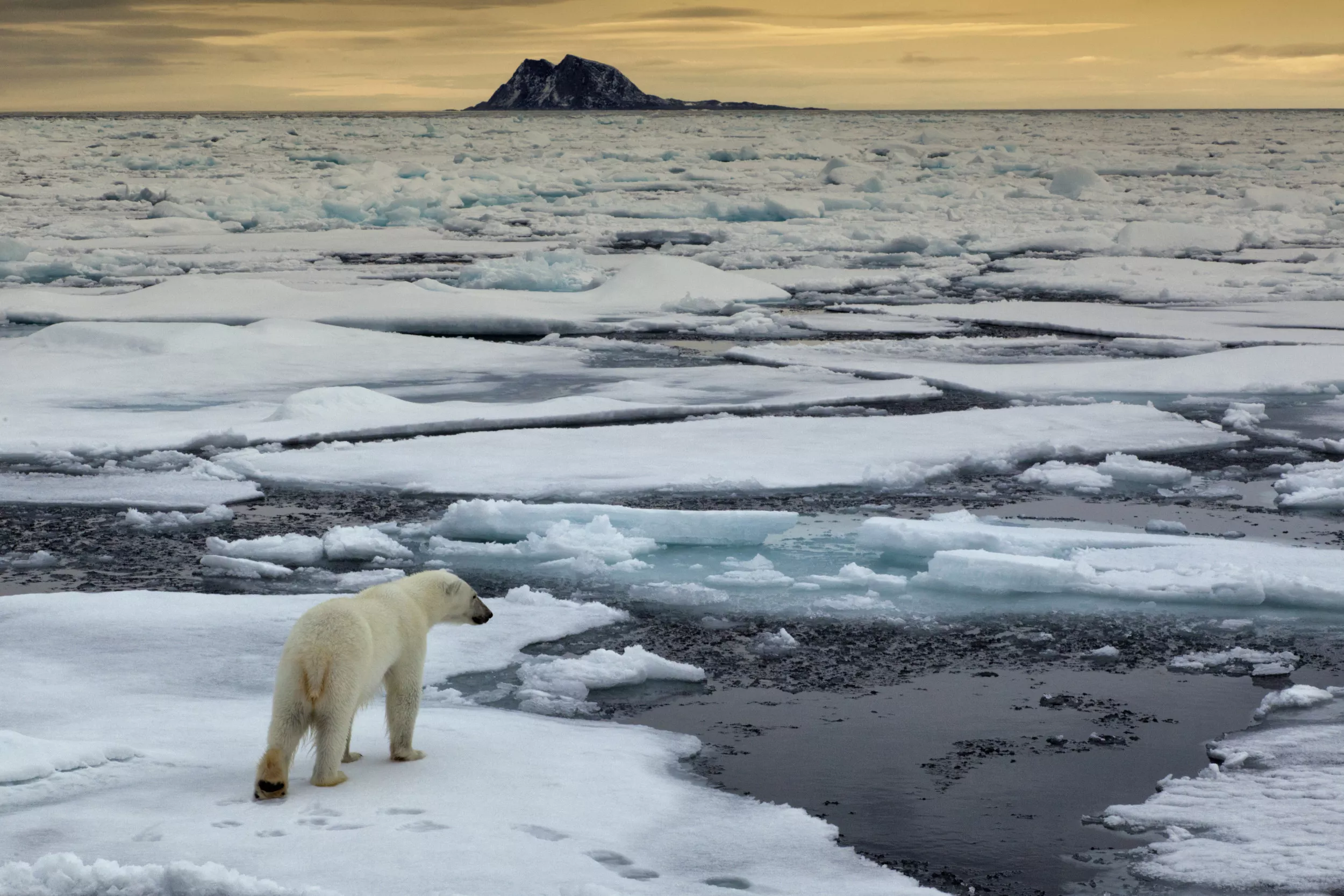 Geoscientists Warn Fast Arctic Warming Will Bring 3.6 F Rise 8 Years Early - Vimarsana News