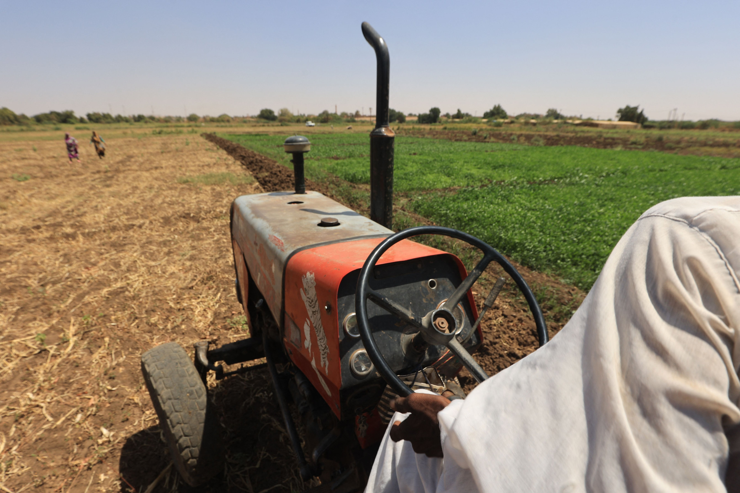Time Is Running Out To Help Africa Feed Itself | Opinion