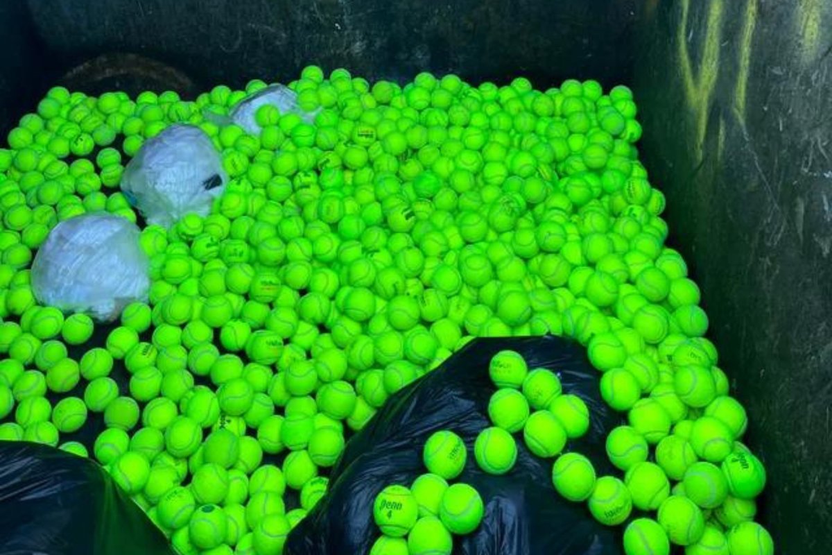 Gym throws out tennis balls