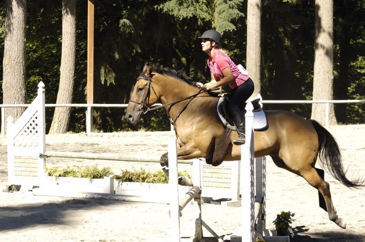 Horse rider
