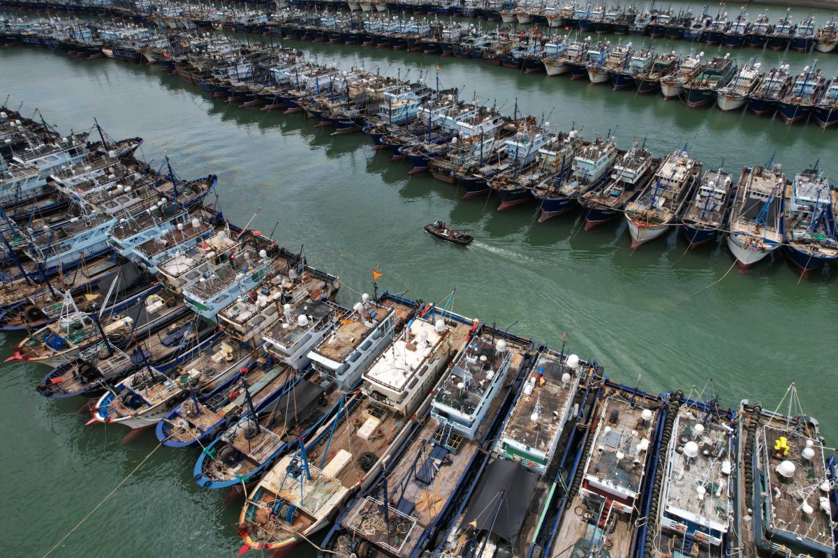China's Fishing Fleet Denuding World's Oceans—Report