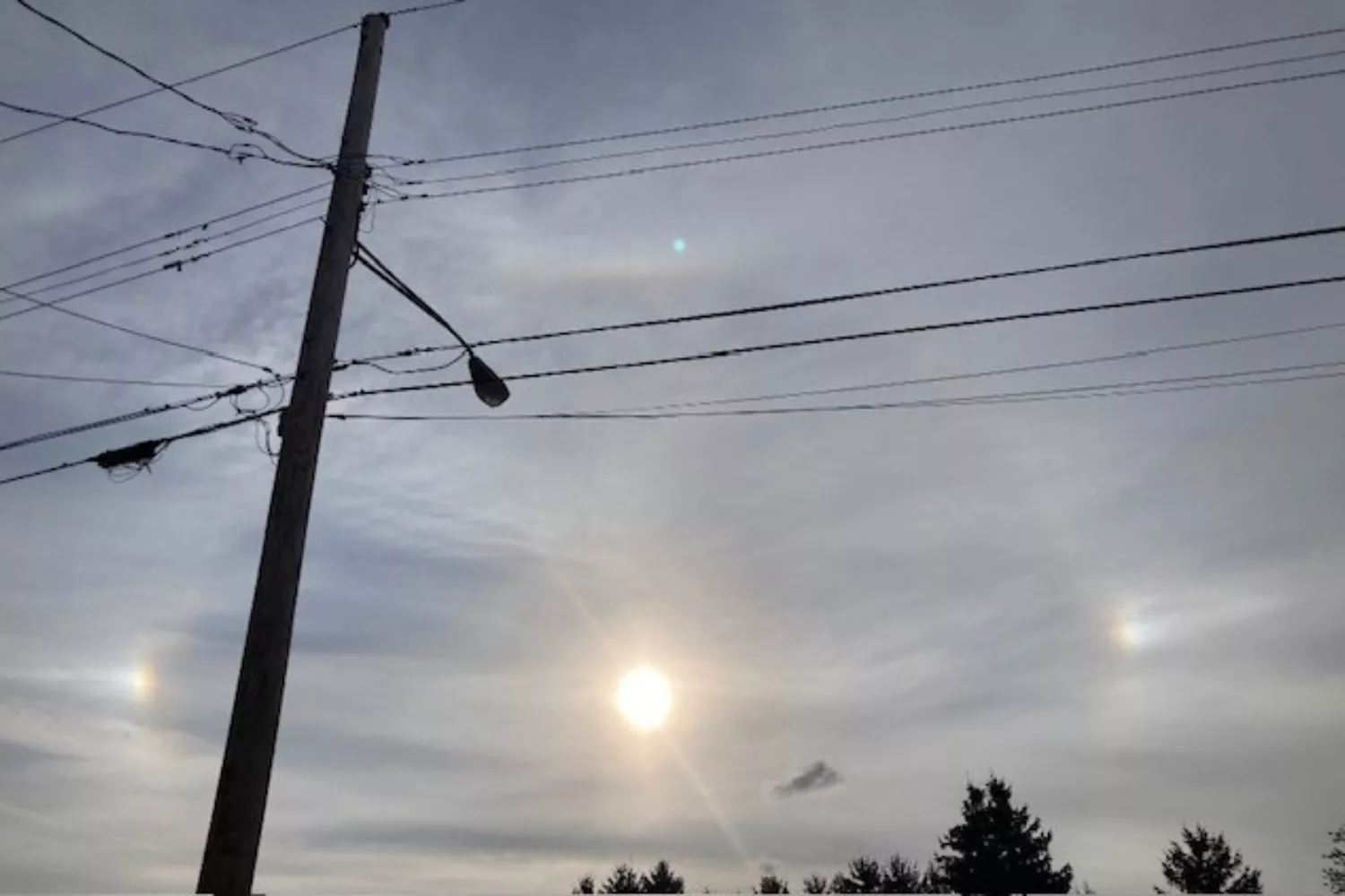 Man's 16-Year-Old Dog Dies, Then Looks at the Sky: 'Giving You a Sign' - Vimarsana News