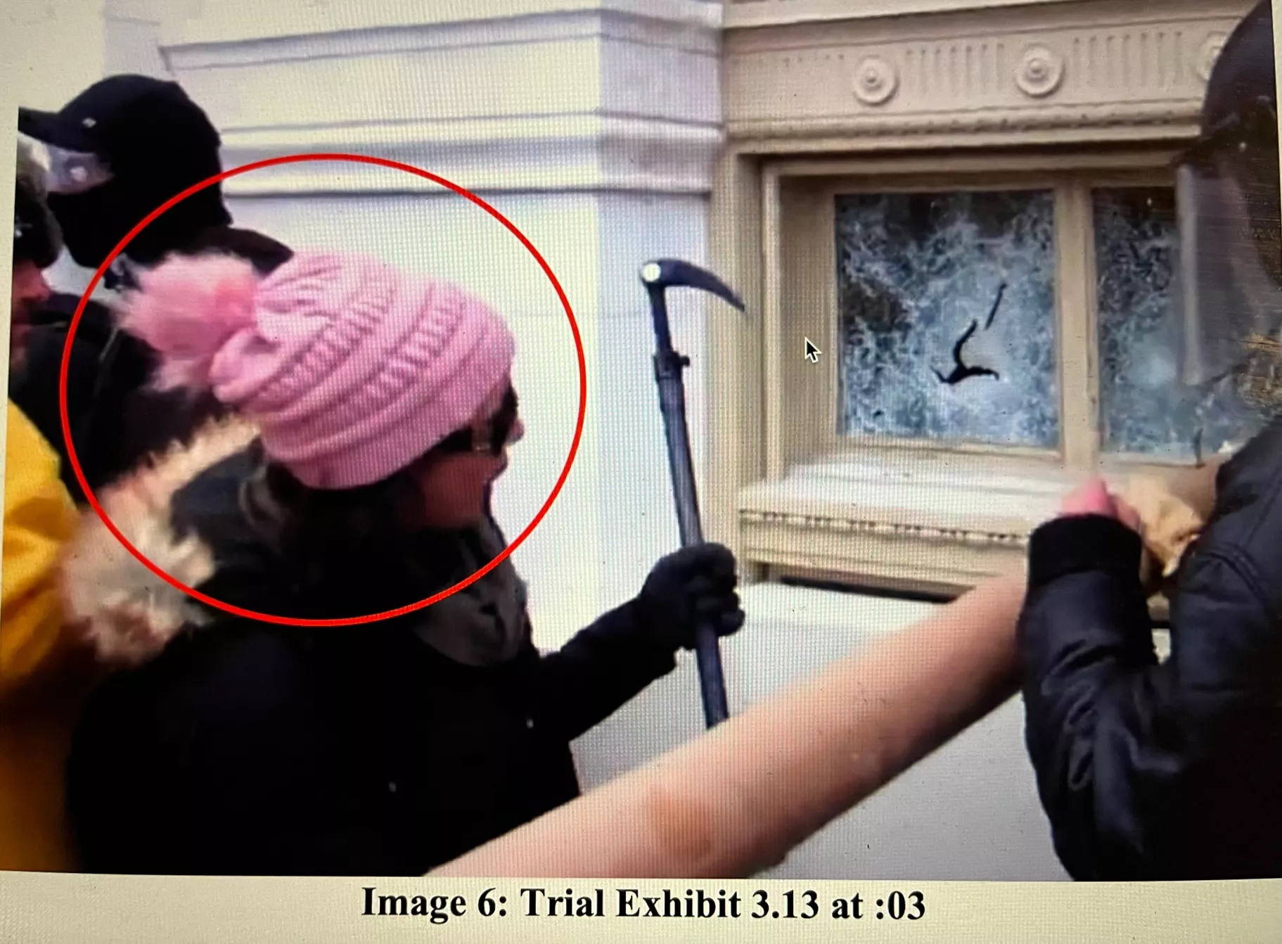 Meet The 'Pink Hat Lady' of the Capitol Riot: 'It Was Like War' - Vimarsana News