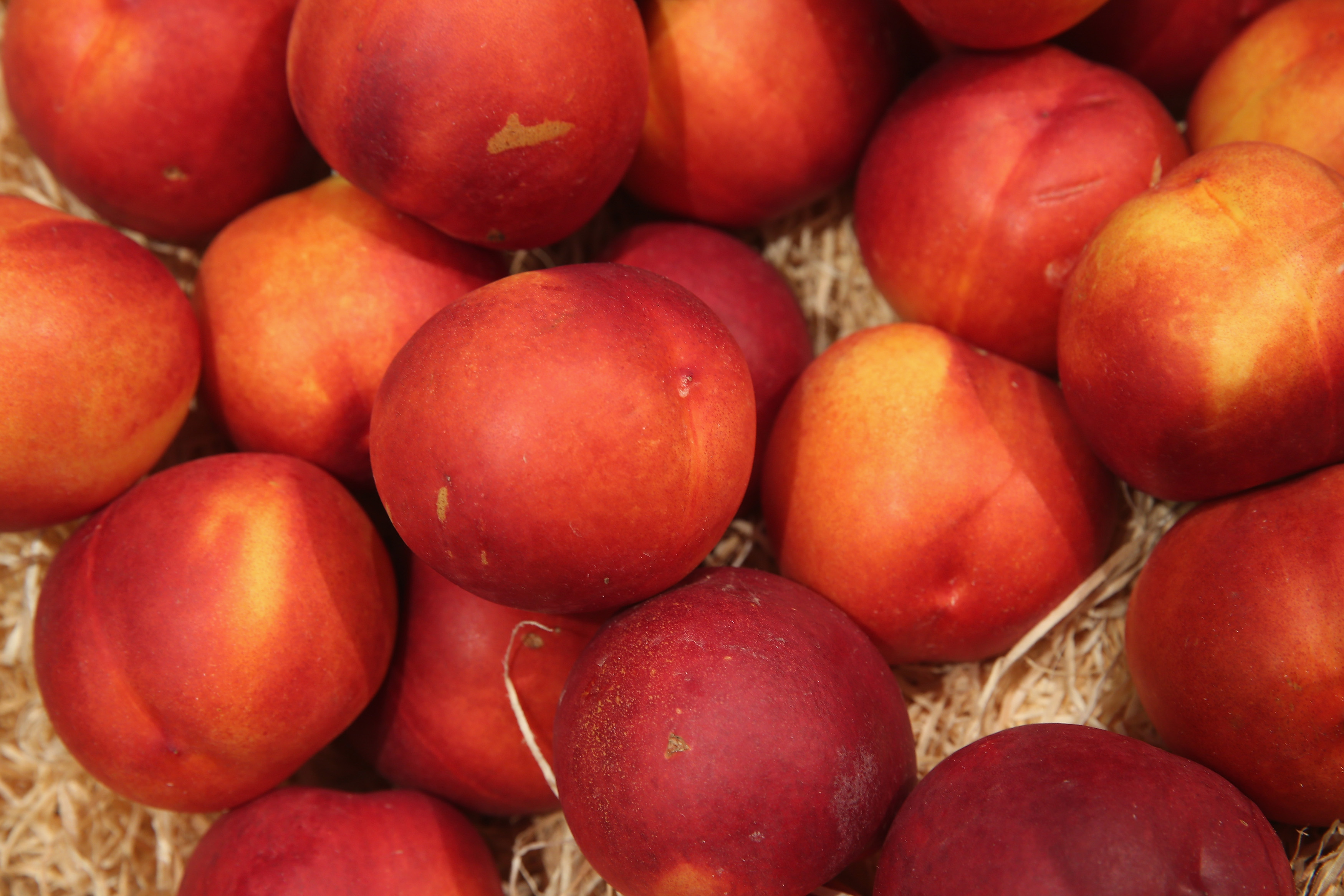 Peaches, Plums, and Nectarines Recalled Nationwide Due to Listeria Outbreak