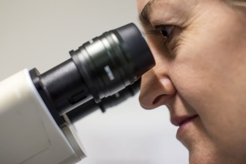 FEA01_CancerAI_4-463580748