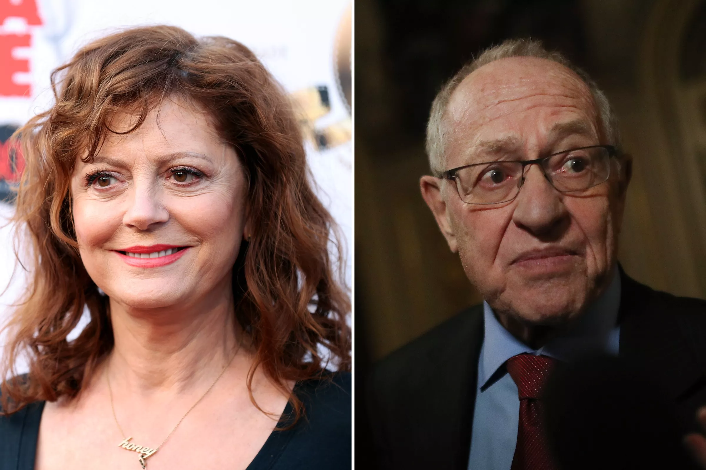 Sarandon, Dershowitz's Opposing Views of Islamophobia See Different Results - Vimarsana News