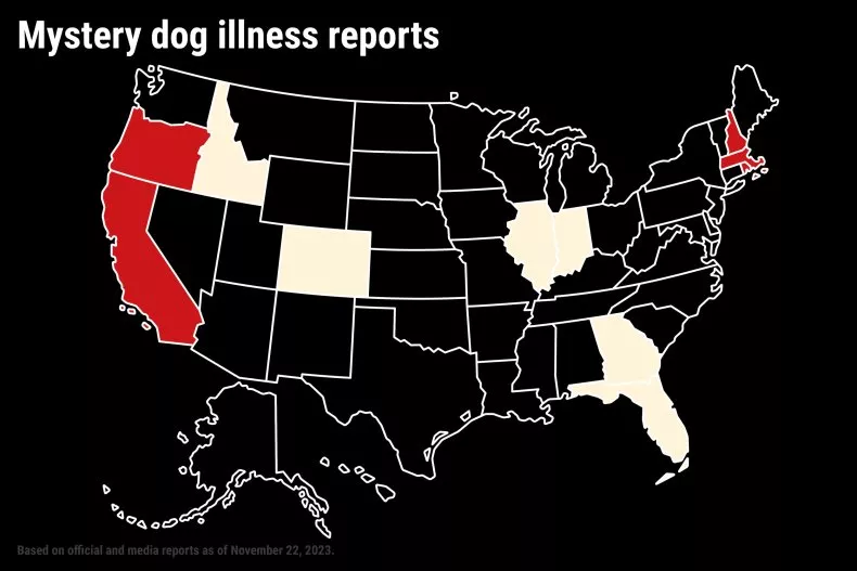 mystery-dog-illness-map.webp