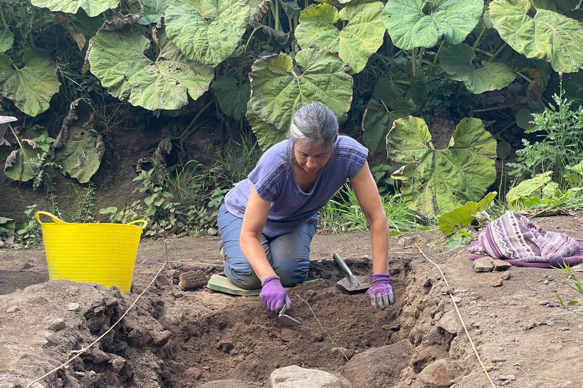 An archaeologist excavating in a field