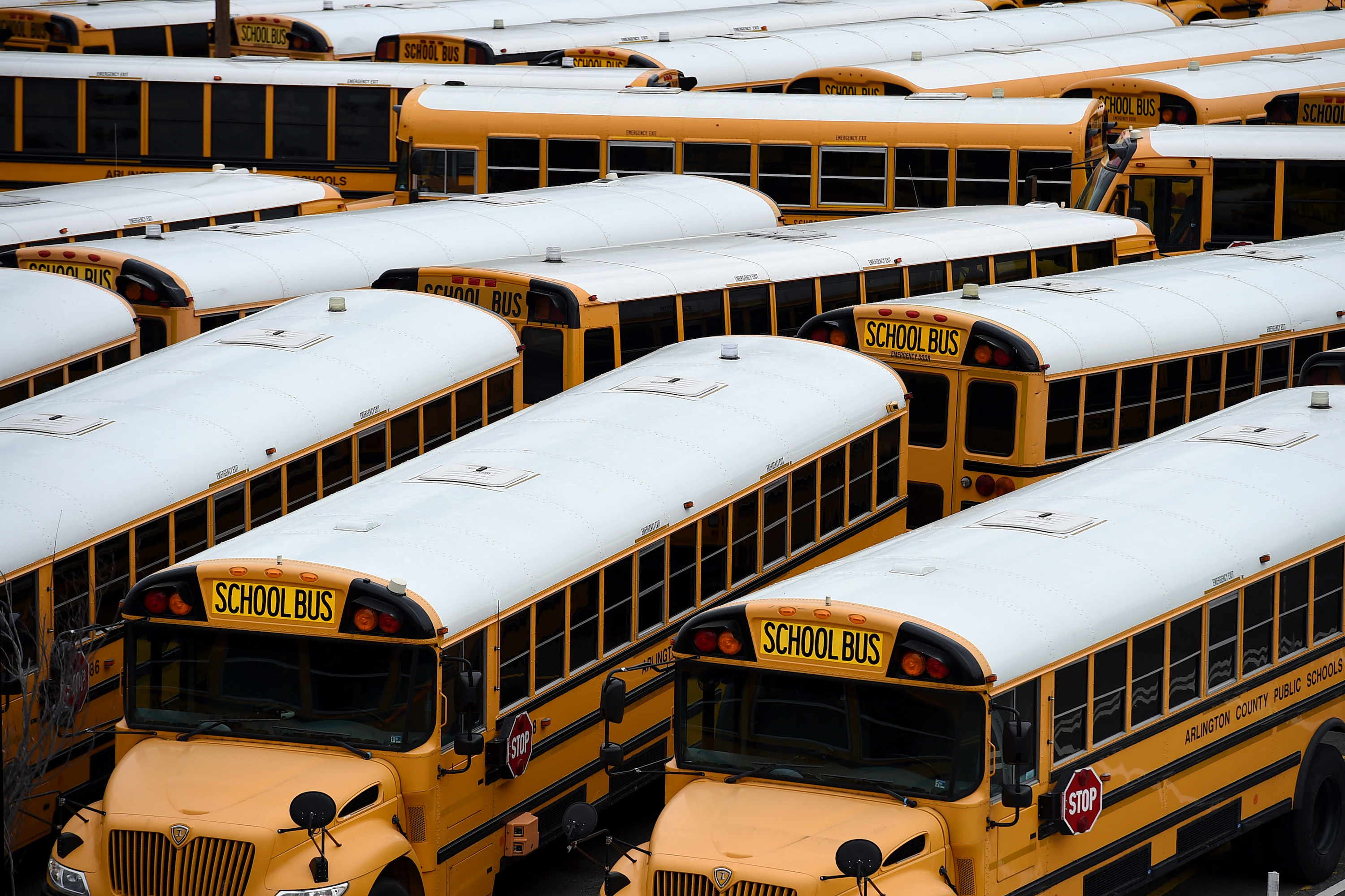 School Choice Can Help Save Public Education&mdash;If Done Right | Opinion