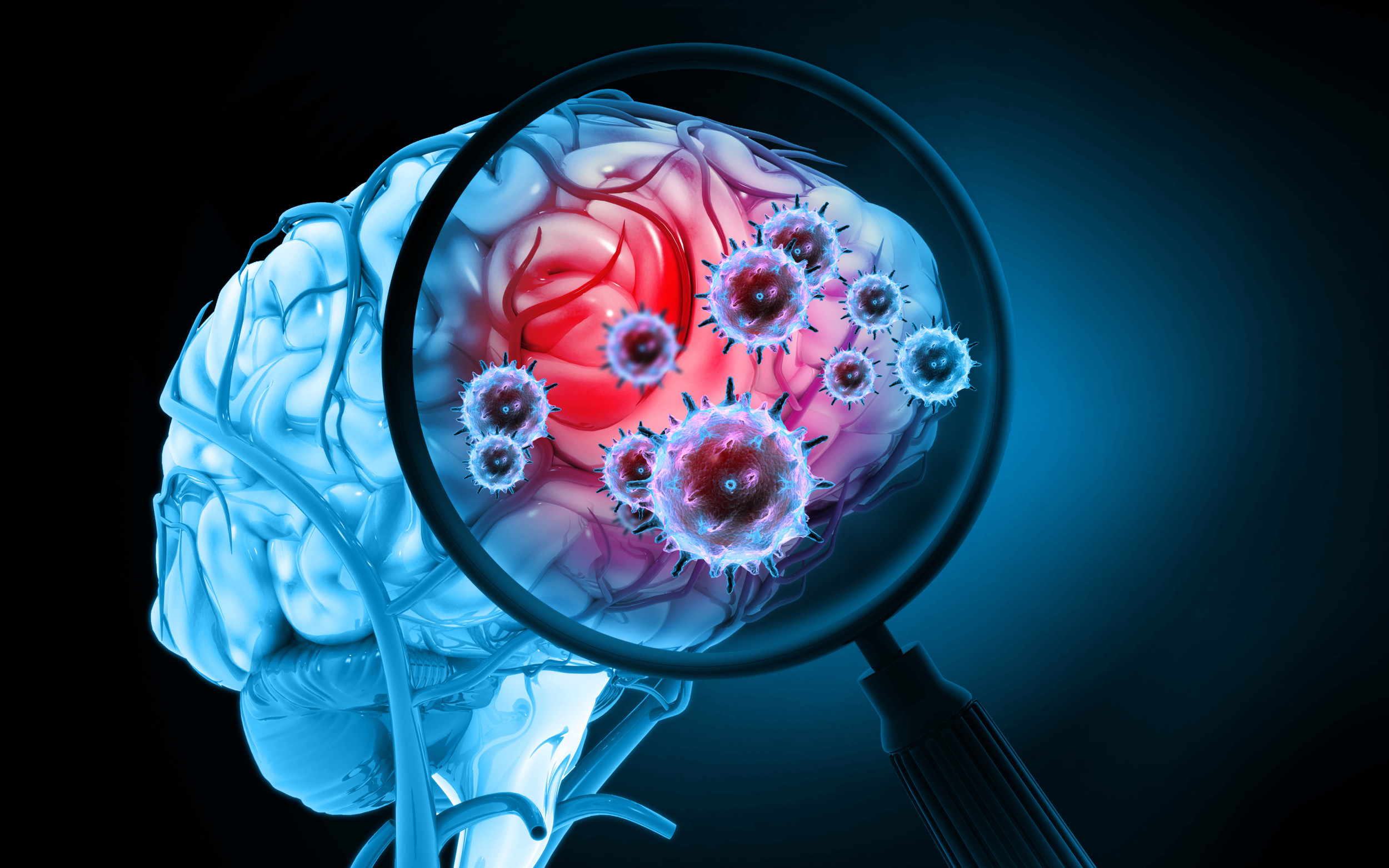Des neuroscientifiques tuent des cellules « zombies » pour inverser le vieillissement cérébral dû au COVID