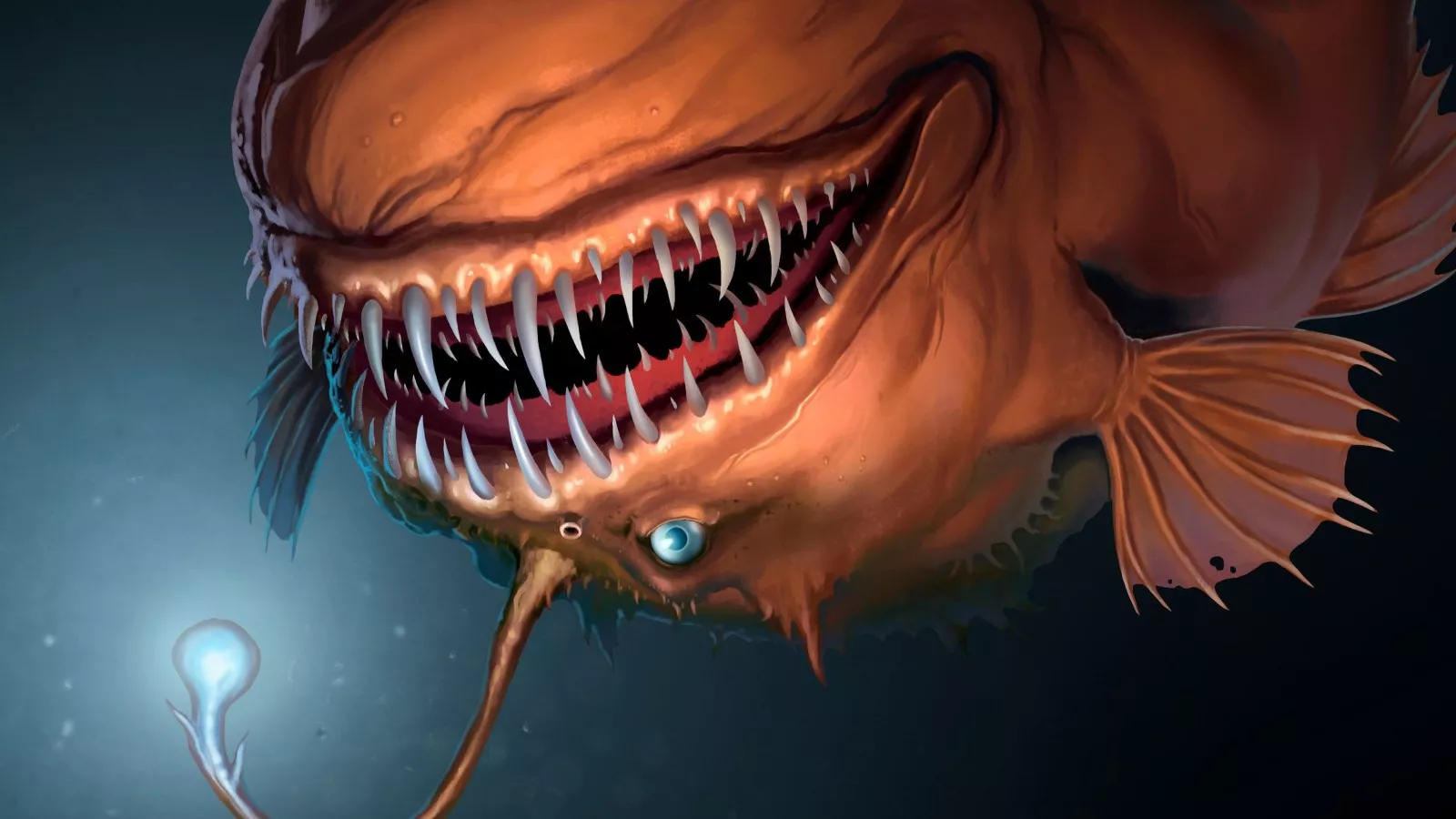 Angler Fish