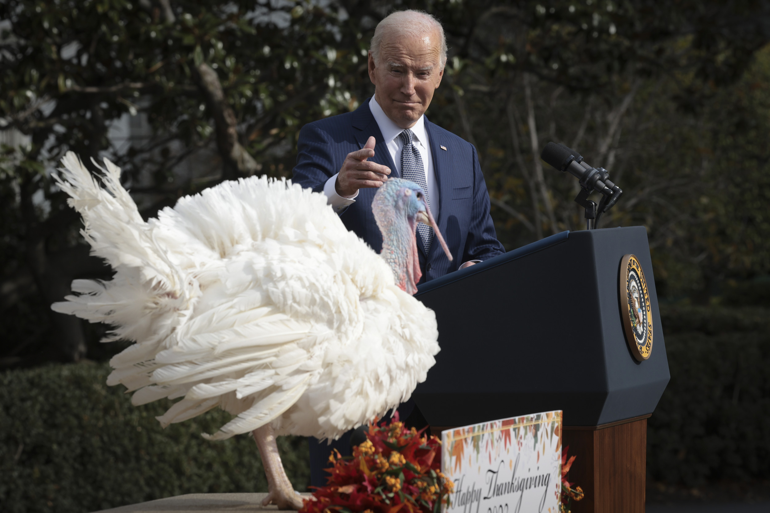 How Thanksgiving Messages of 2024 Candidates Compare