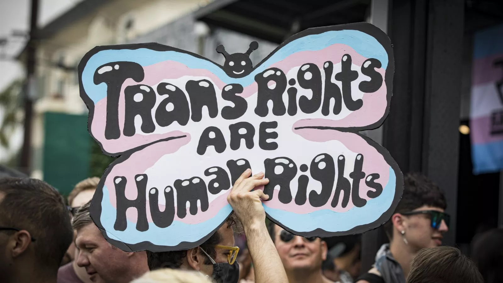Finlande : cette marque commercialise les premiers tampons pour hommes  transgenres
