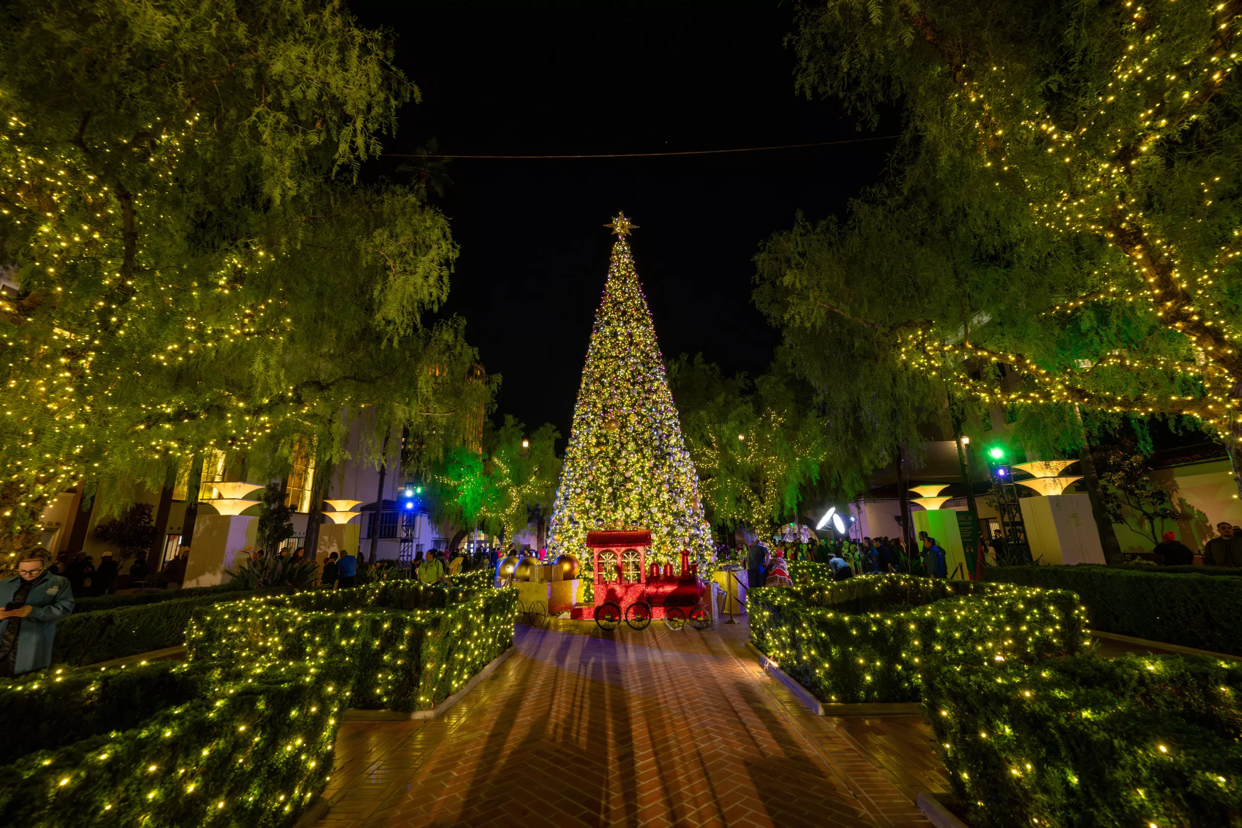 Christmas Trees Will Hurt Americans' Wallets This Year - Vimarsana News