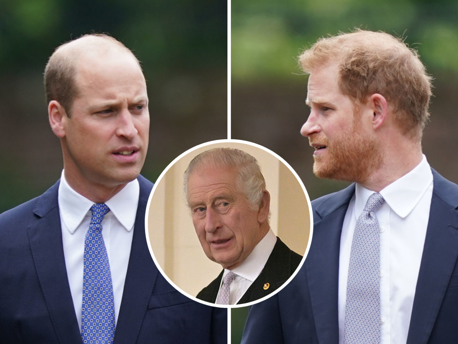 Prince William and Harry's On-Camera Comments About King Charles Go Viral - Newsweek