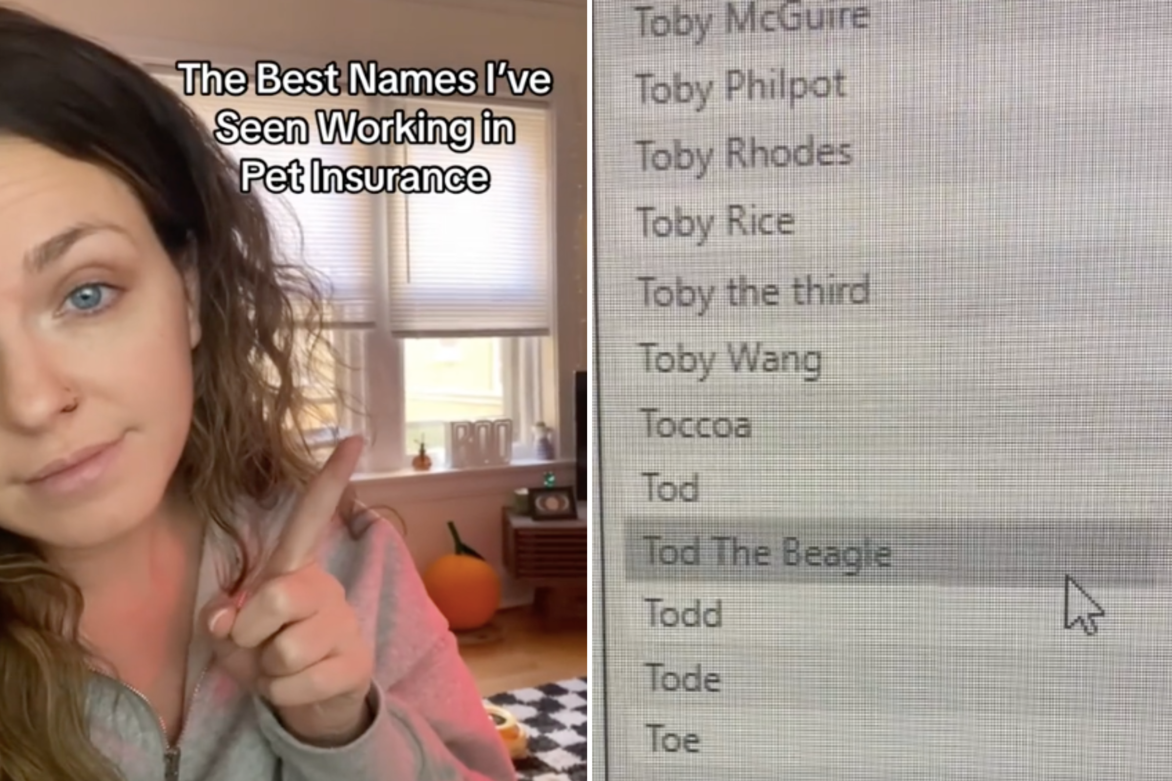 Pet Insurance Worker Reveals the Best Names She Has Ever Come Across