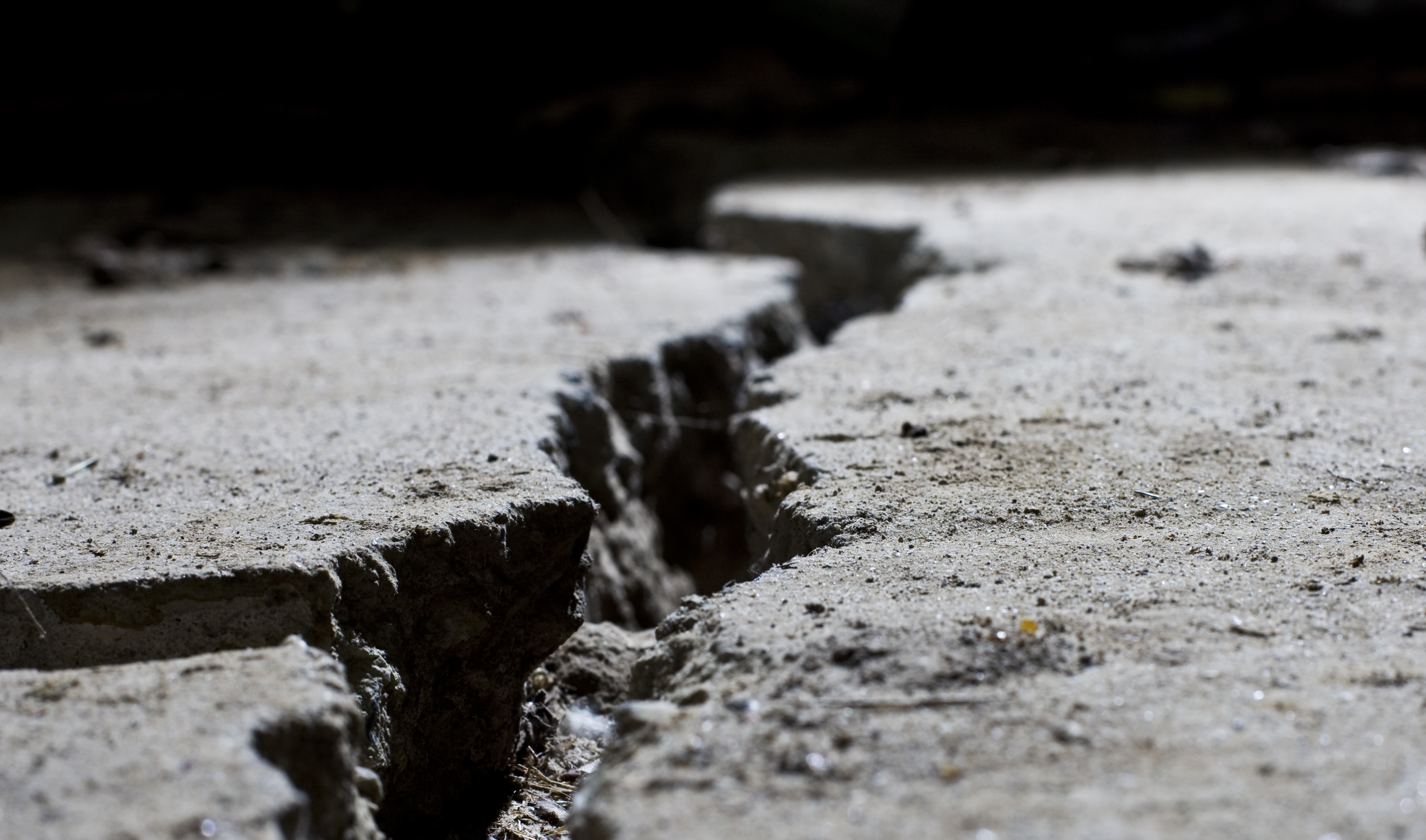 Large earthquakes can be heralded by early warning signs, say seismologists