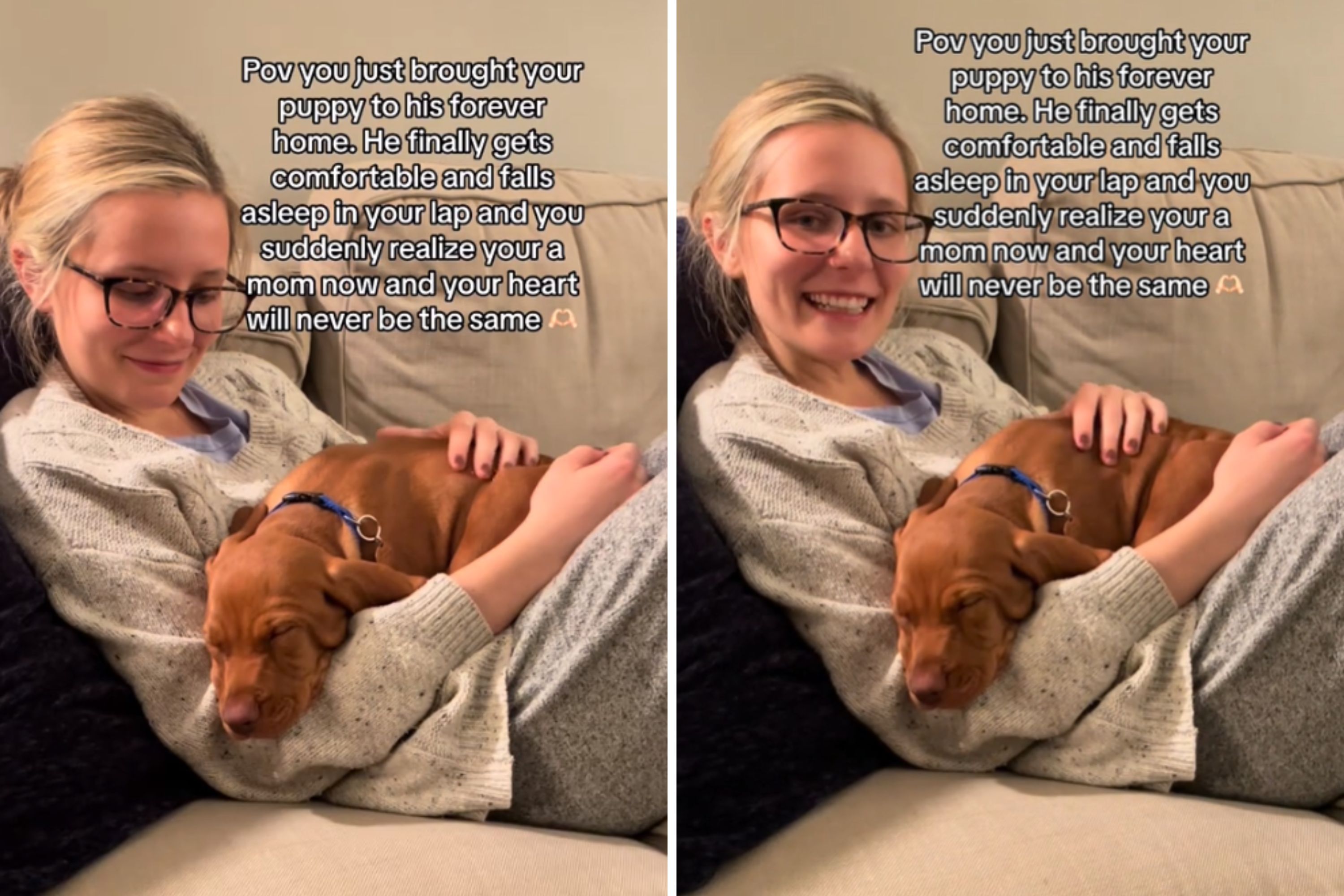 Moment Puppy Finally Gets Comfortable Enough to Fall Sleep in New Home