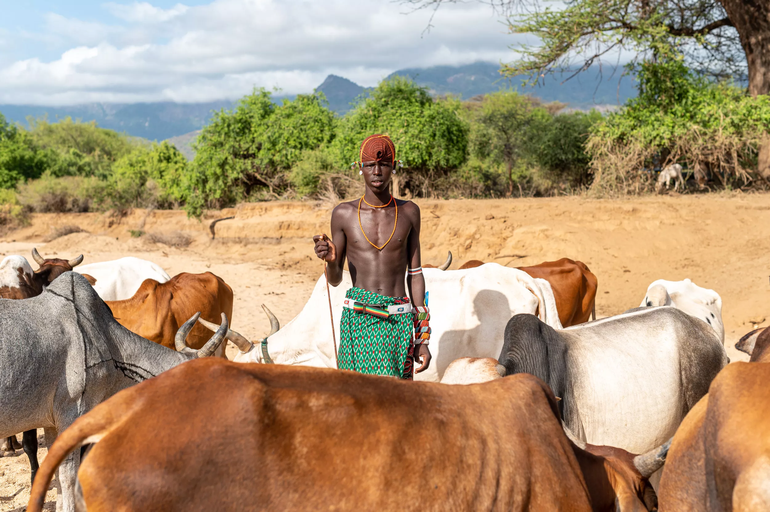 Storing Carbon in Kenya's Soil Could Help Herders and Save the Planet - Vimarsana News