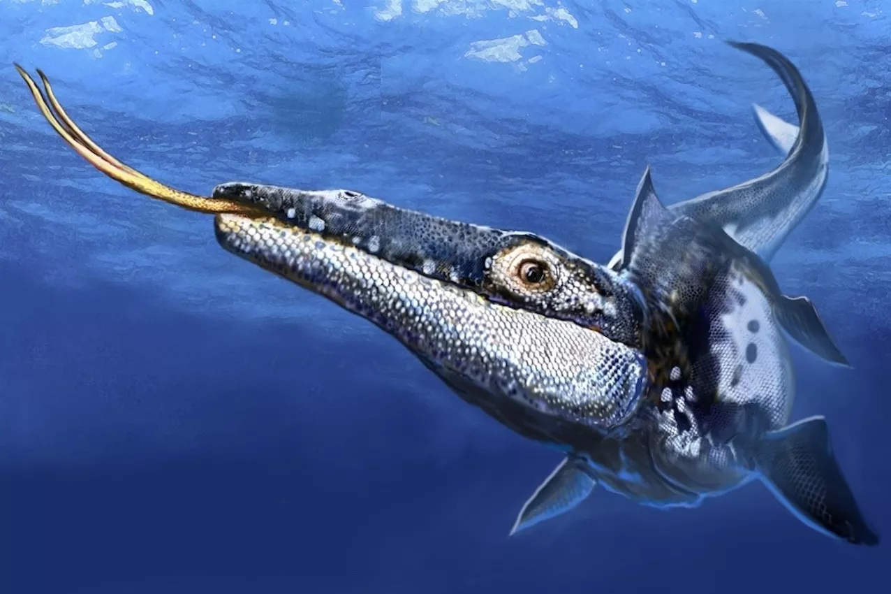 'Formidable' Predator That Ruled the Sea 90 Million Years Ago Discovered - Vimarsana News