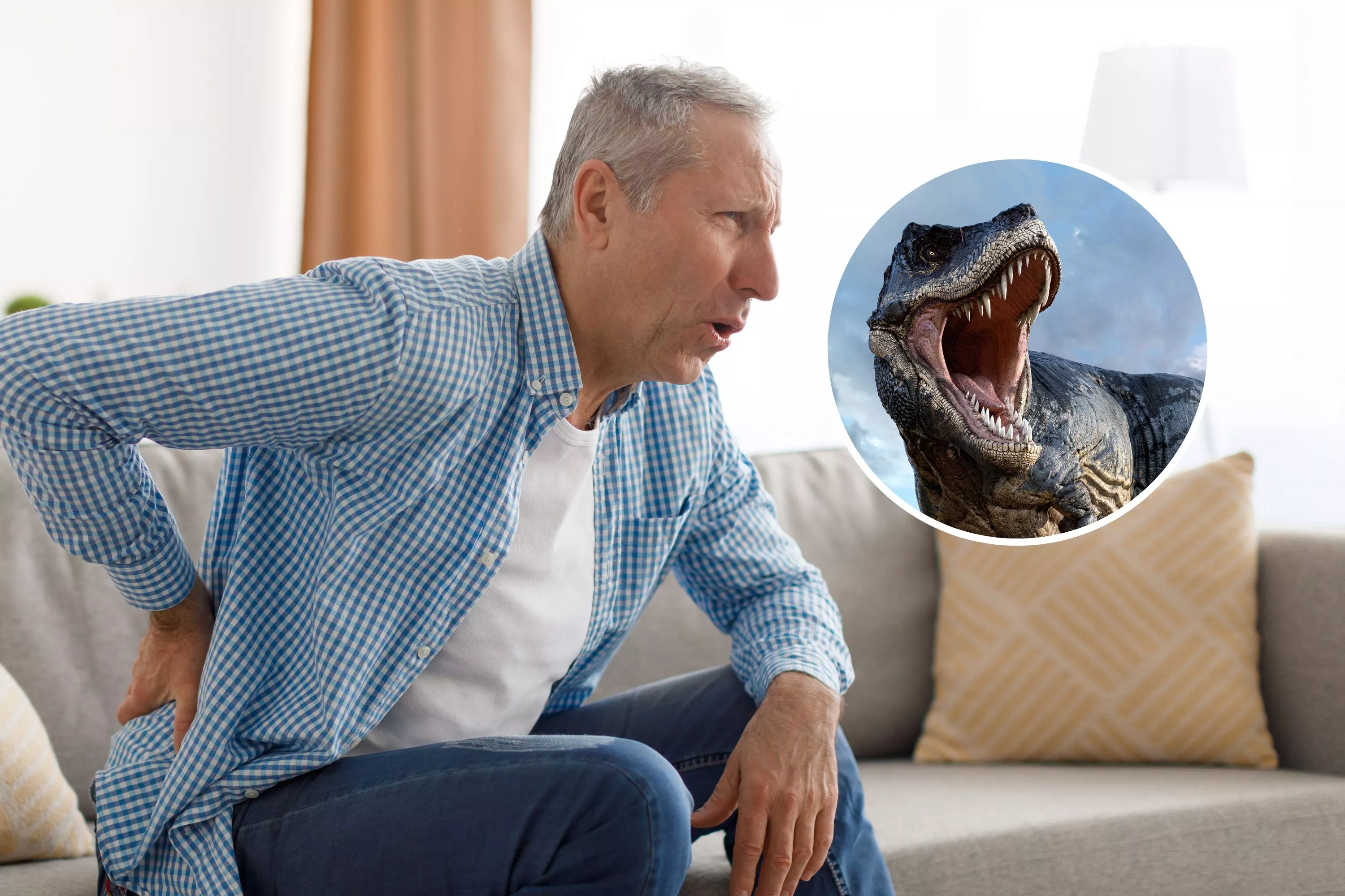 Feeling Your Age? Blame the Dinosaurs, Scientist Argues - Vimarsana News
