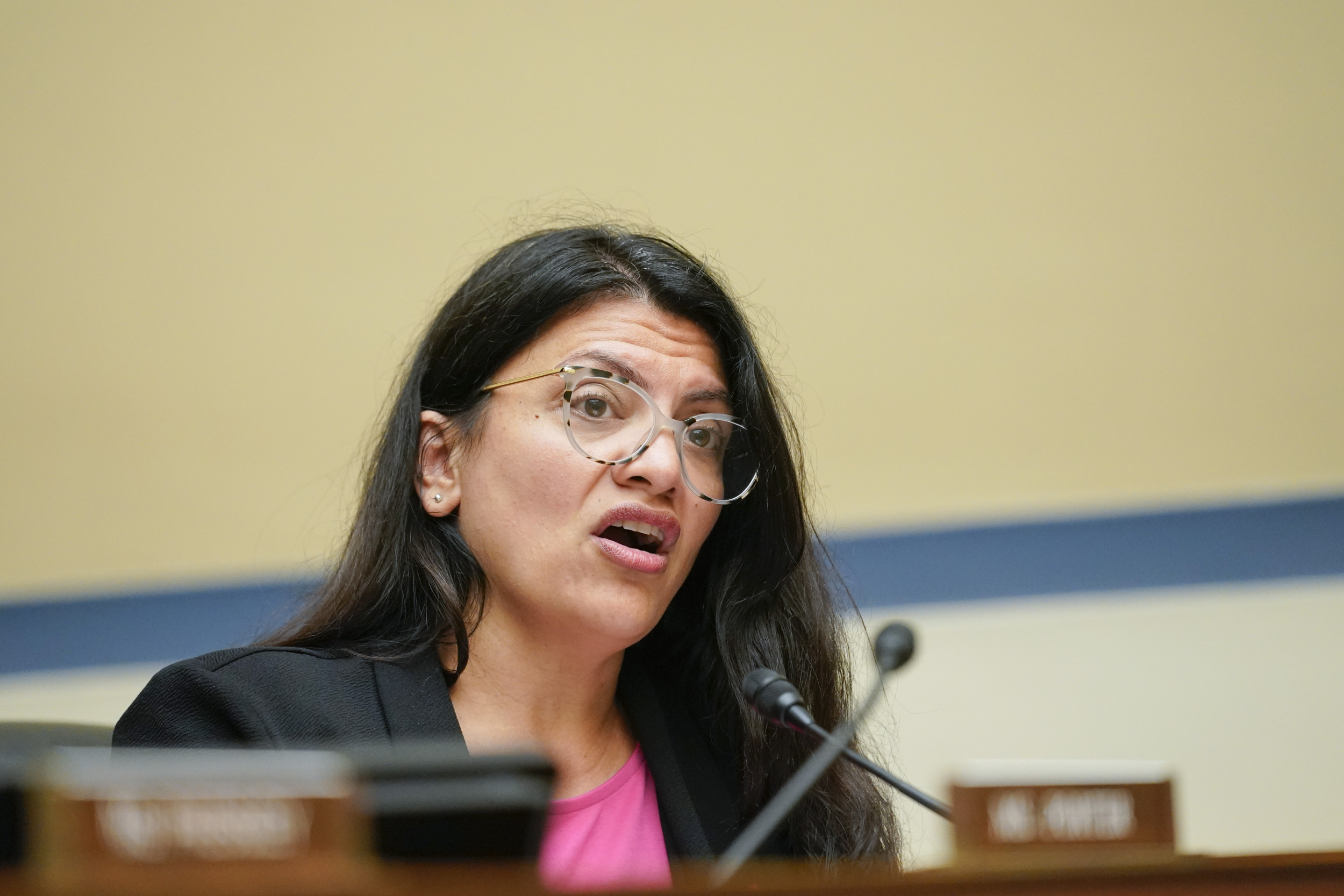 Rashida Tlaib Is Not Popular in Michigan