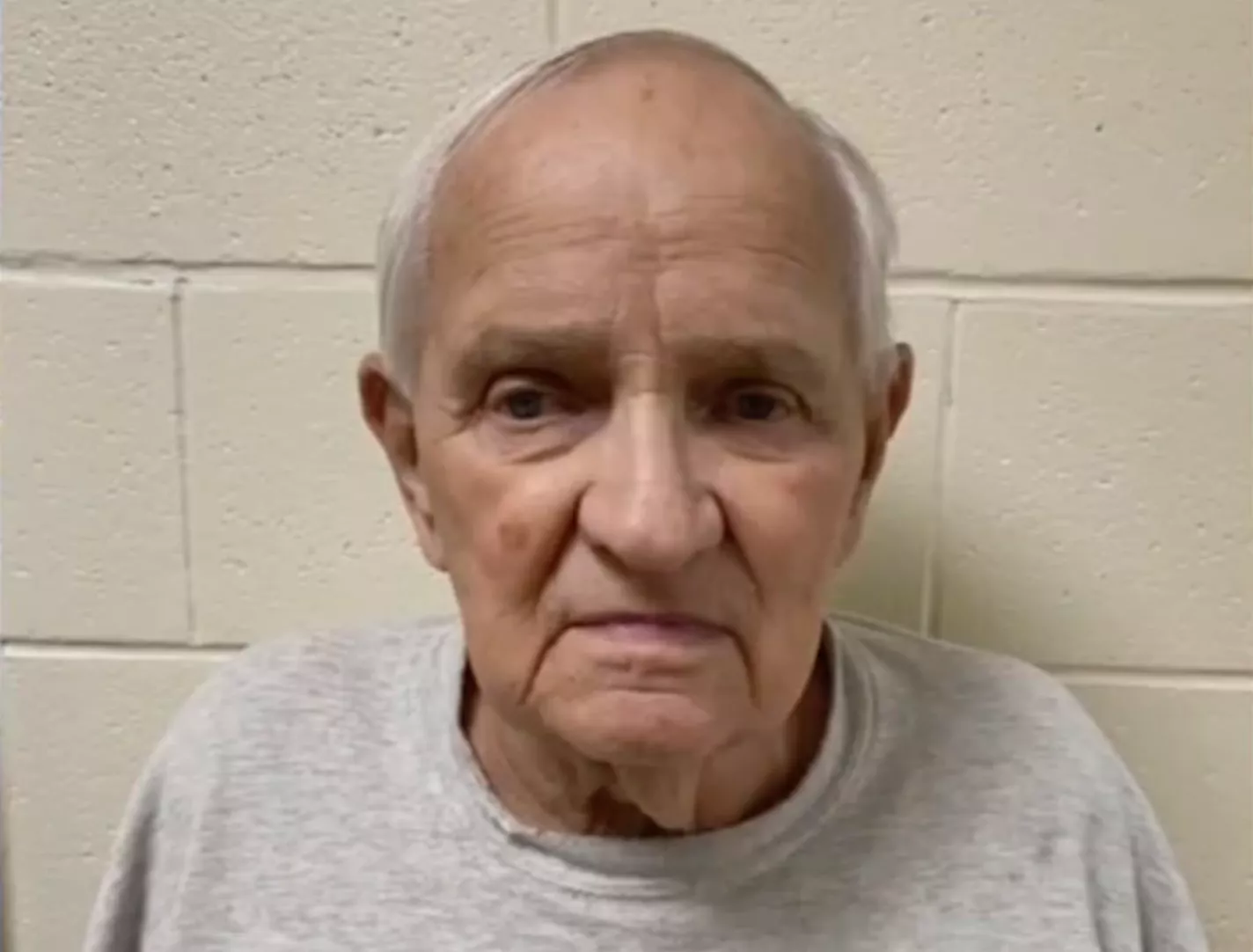 Man Kills Wife After Argument About Cat's Vet Bill, Police Say - Vimarsana News