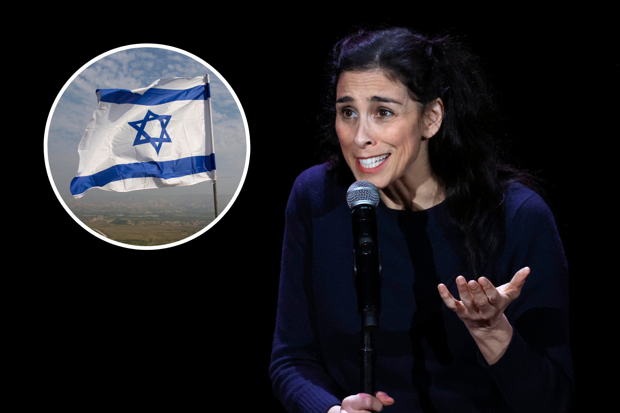 Sarah Silverman, Biography, Films, & Facts