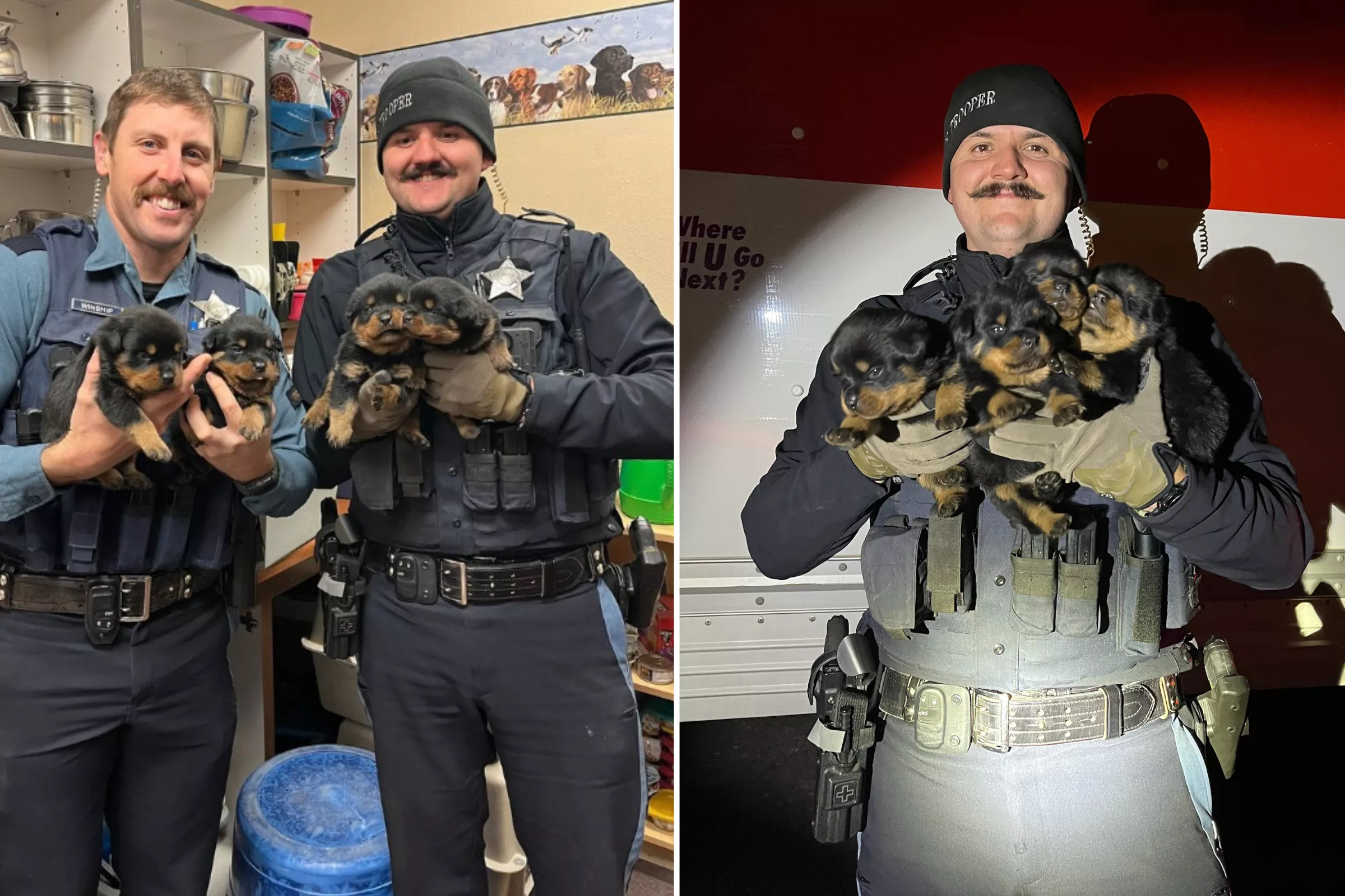 Barking From Abandoned U-Haul Truck Leads to Rescue of 25 Dogs - Vimarsana News